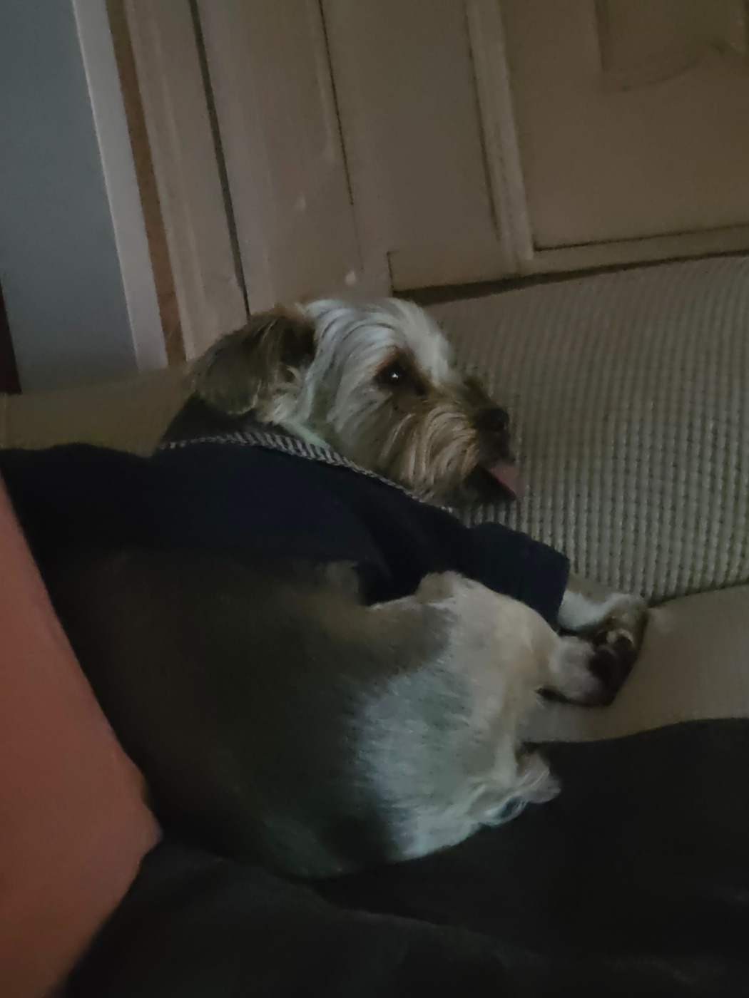 새벽 내내 포근한 다락방