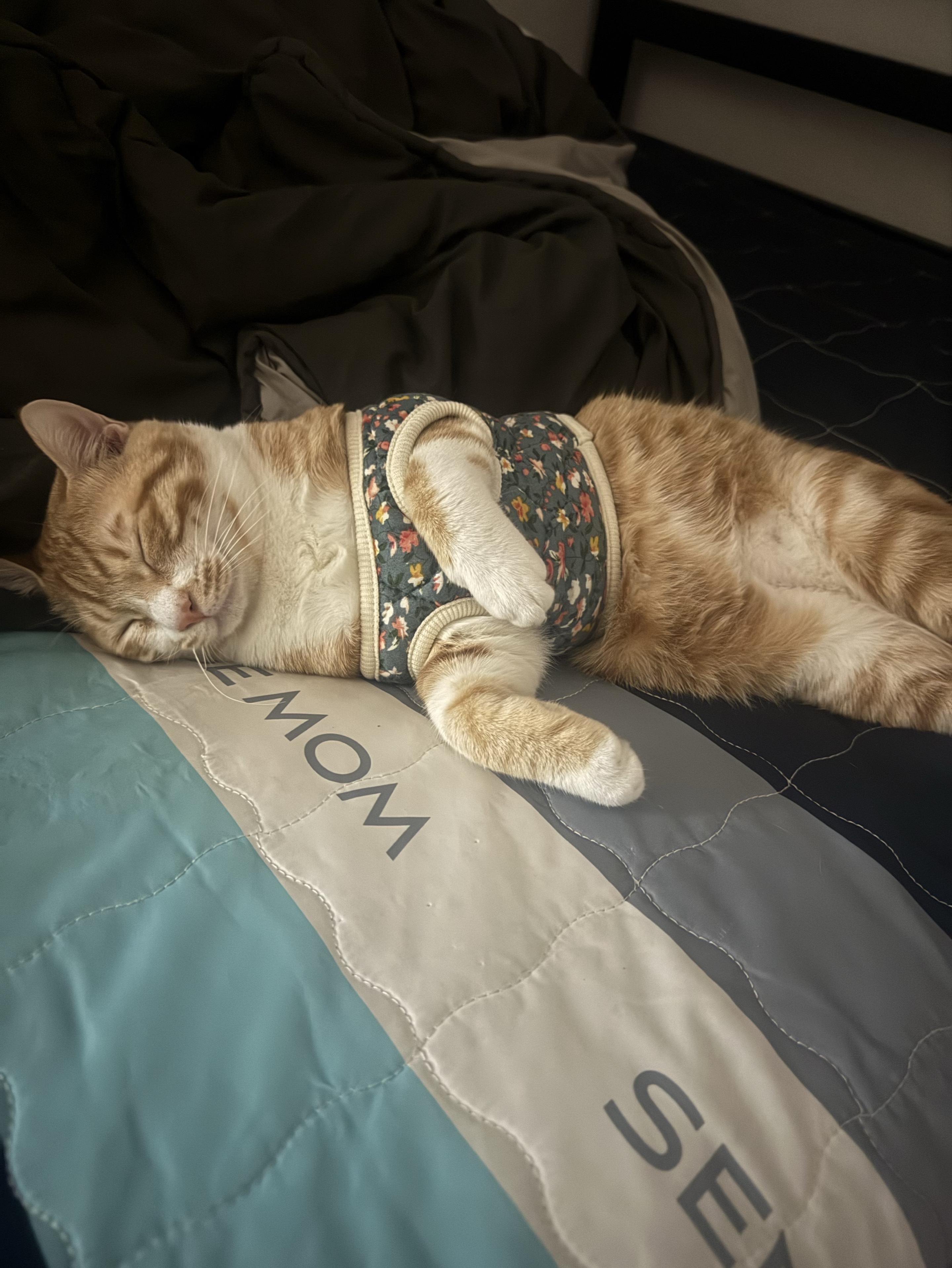 #38. 보고싶어, 언제 오지?