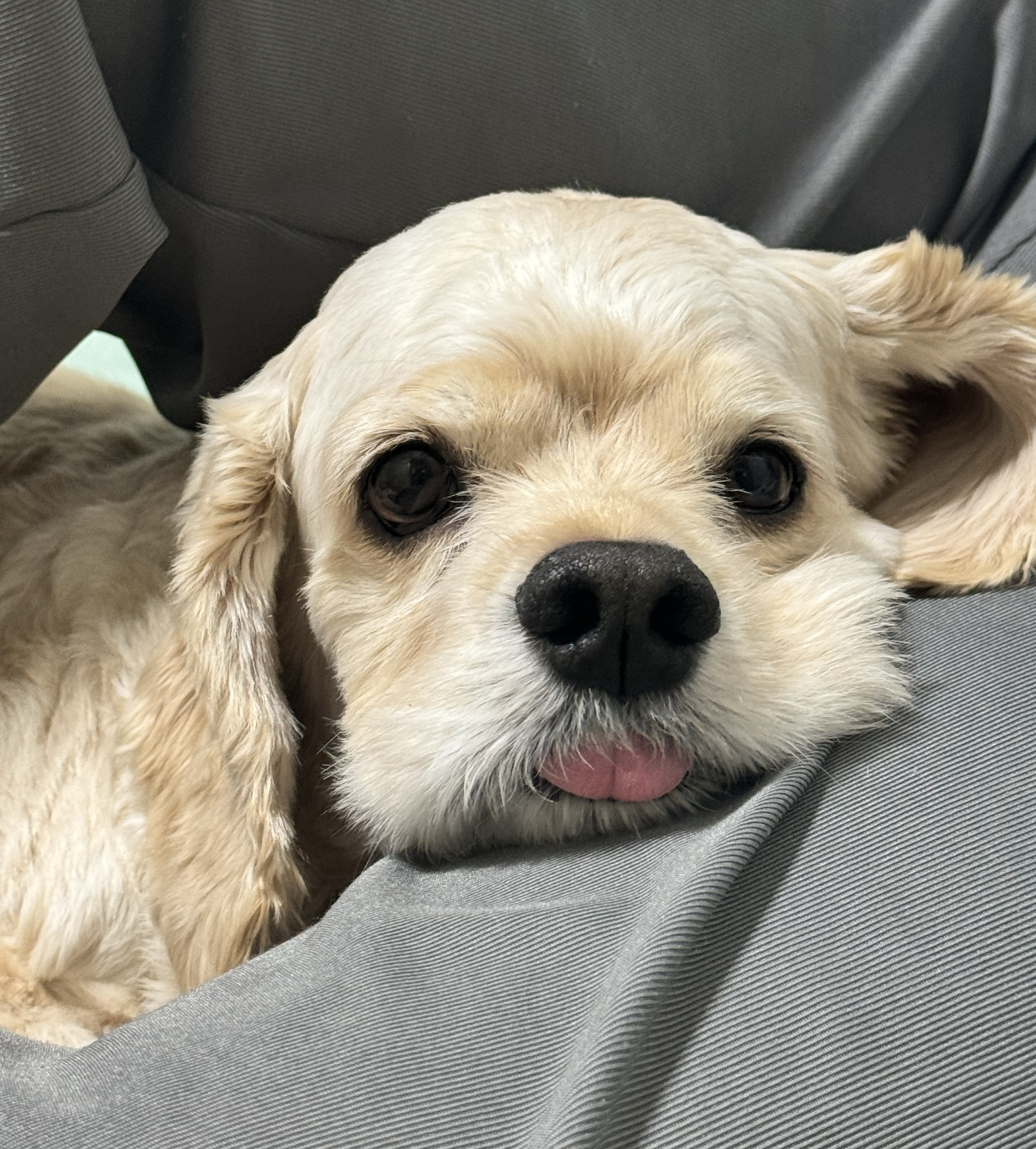 나야 숲타초이스💚 함께하자!!!