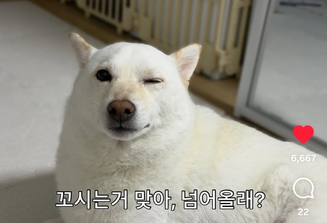 # 새벽반 아이들 모여라 신점방송!