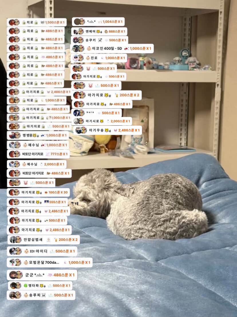 # 소개팅마감 감삼둥