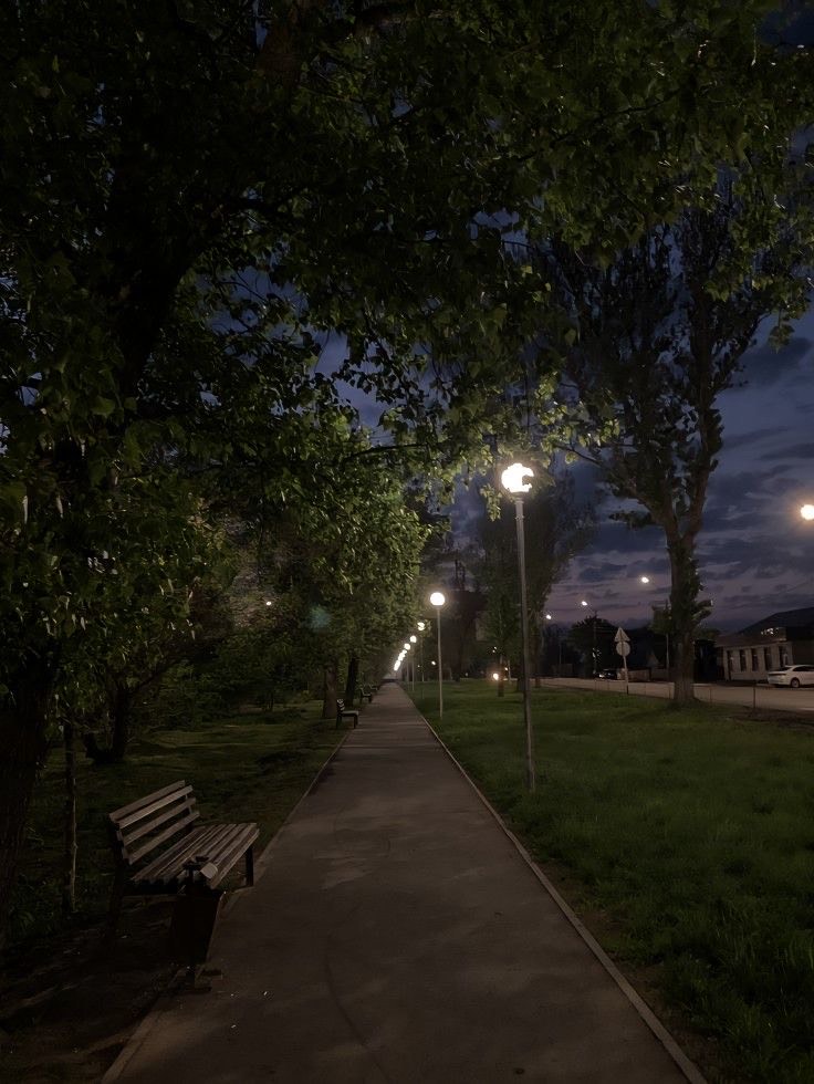 토미오카 기유를 찾습니다