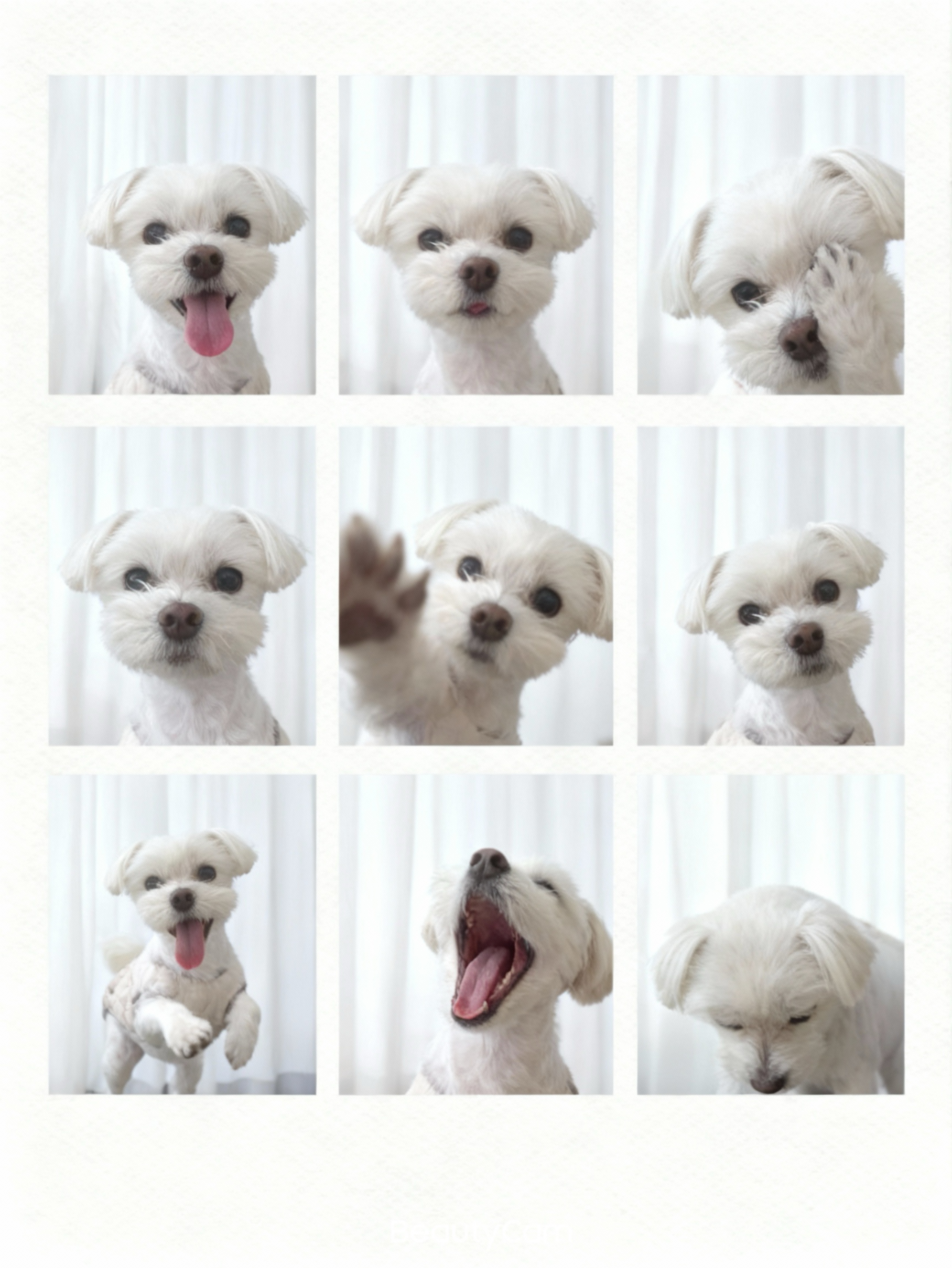 -마감-정규12:00 ⚡️⚡️