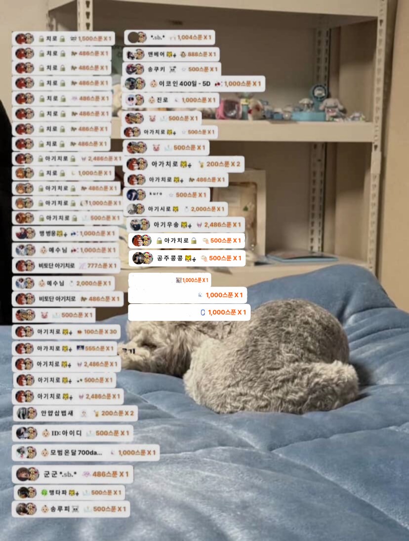 # 소개팅마감 감삼둥