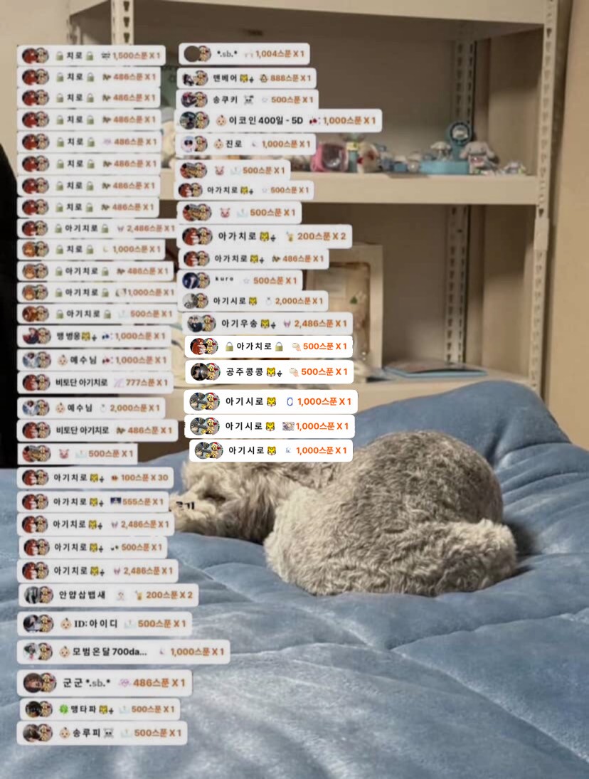 # 소개팅마감 감삼둥