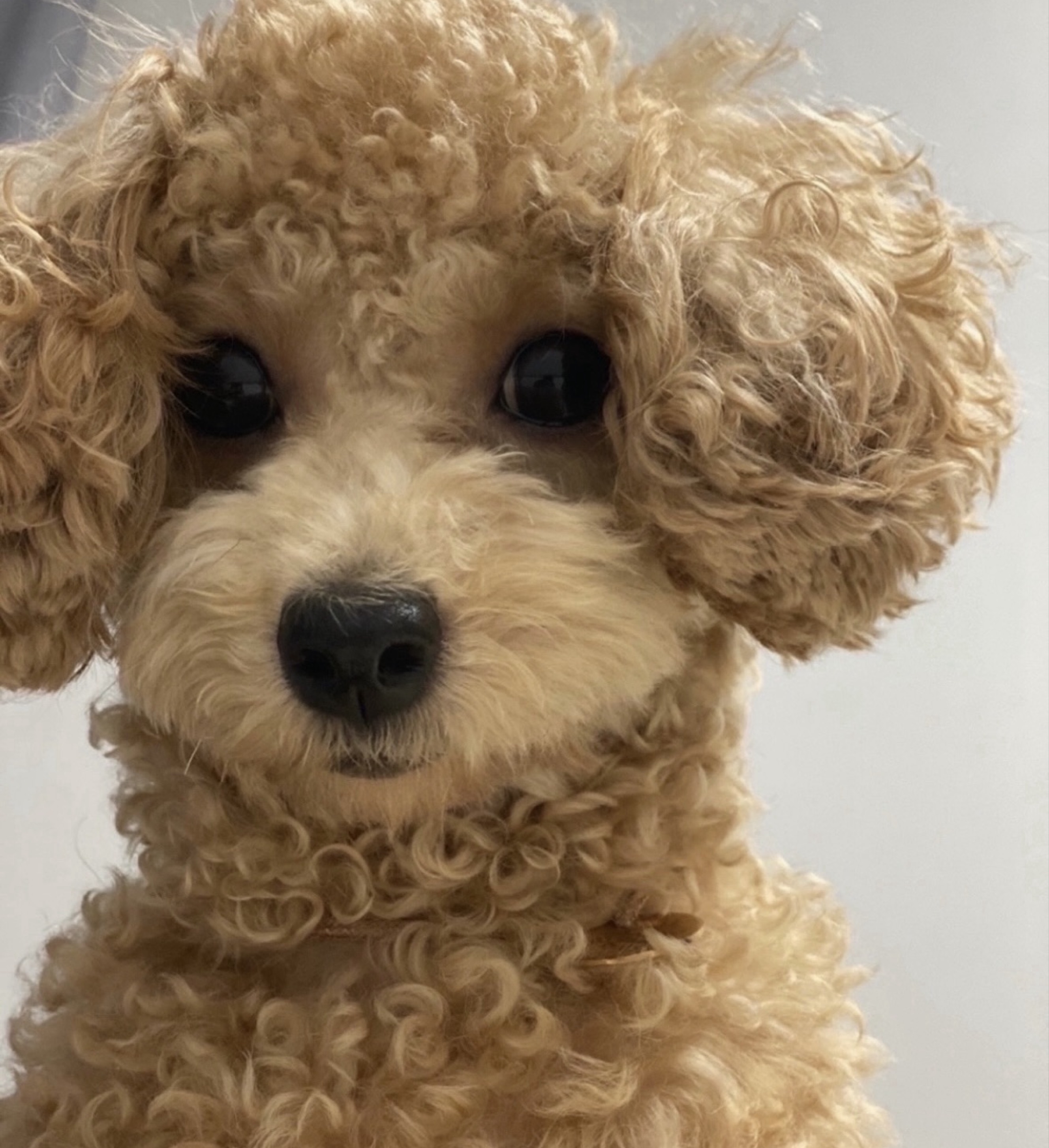 신입 1일차인데 스푼그만할까봐요..