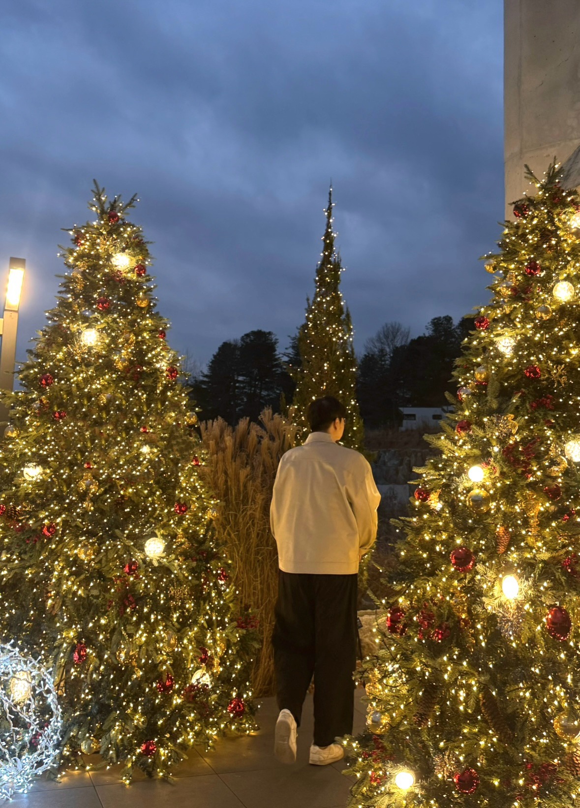 감사합니다 내일 보자