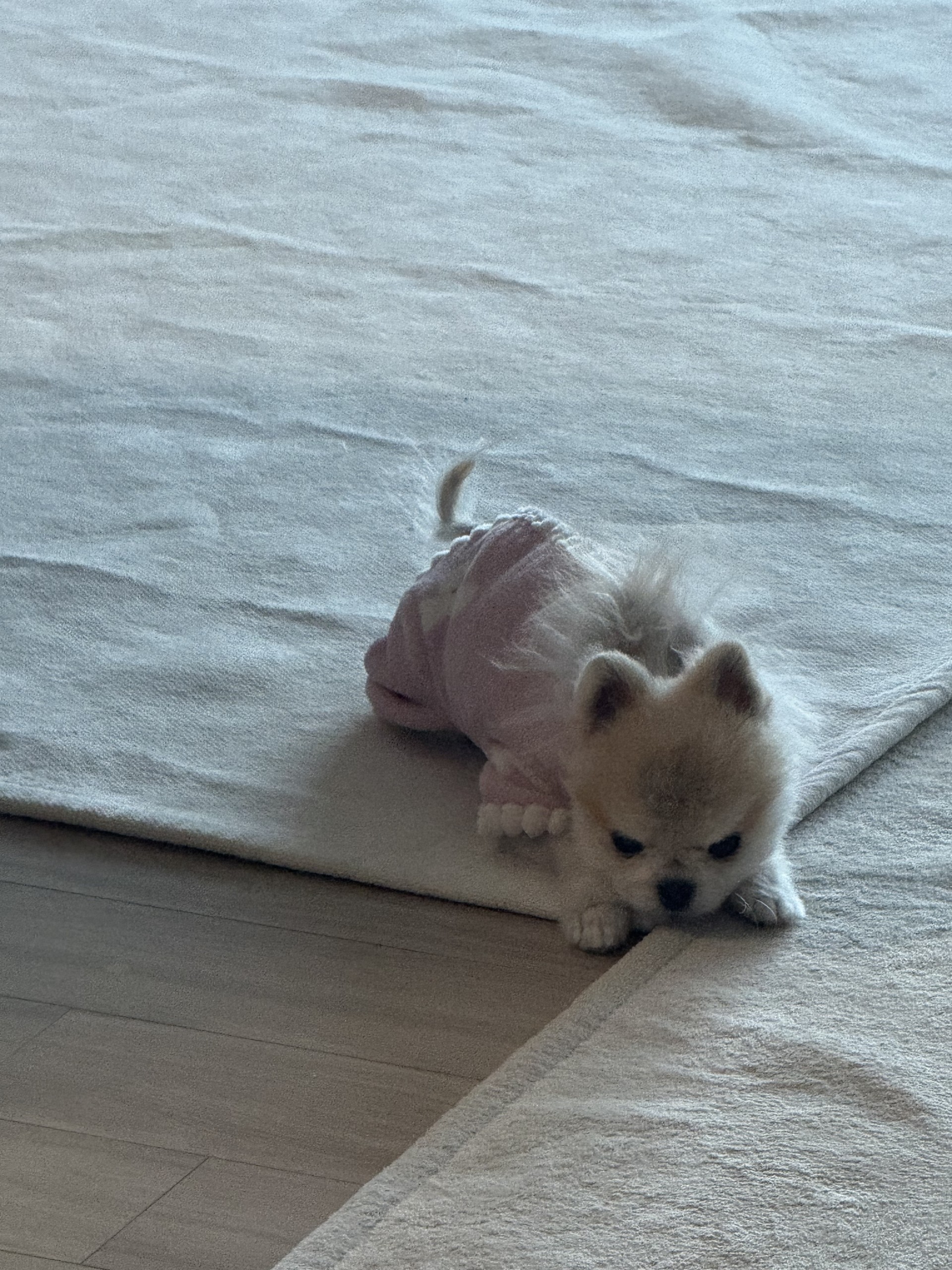 # 6시30분에만나요~! 담좌예수렉스