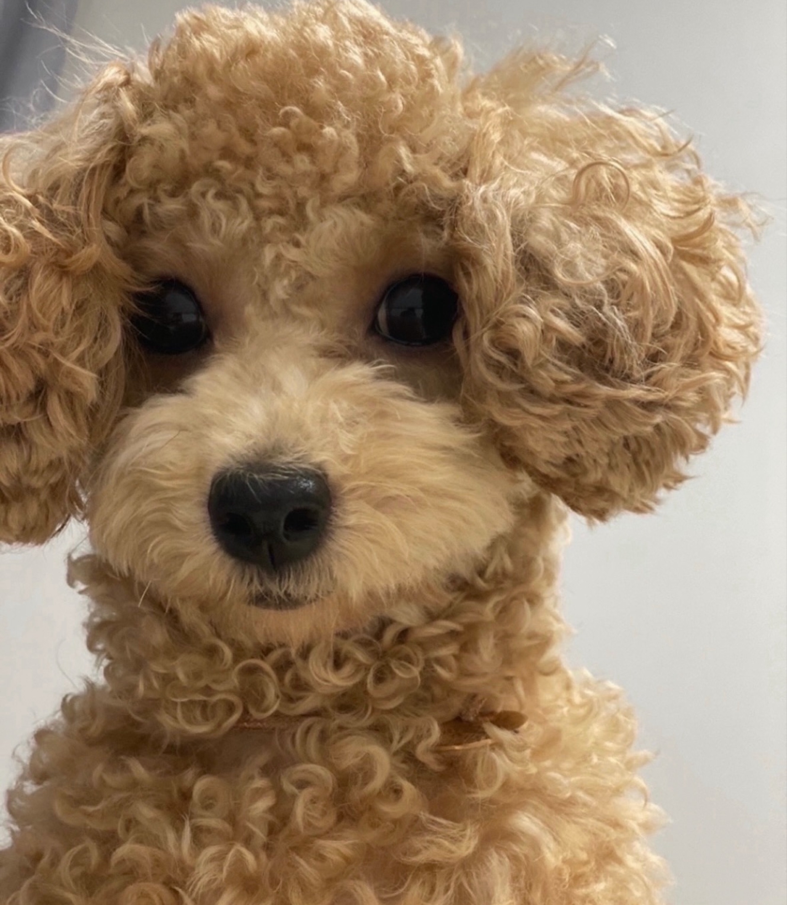 갈방송없어서 만든방송