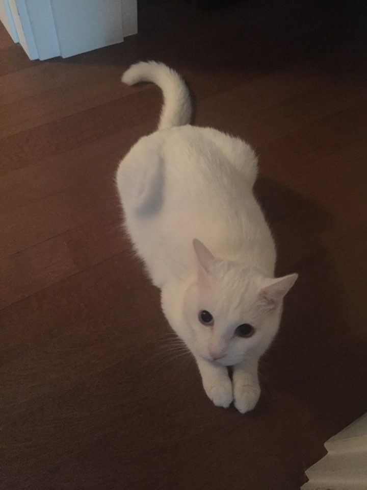 오랜만이에요 :)