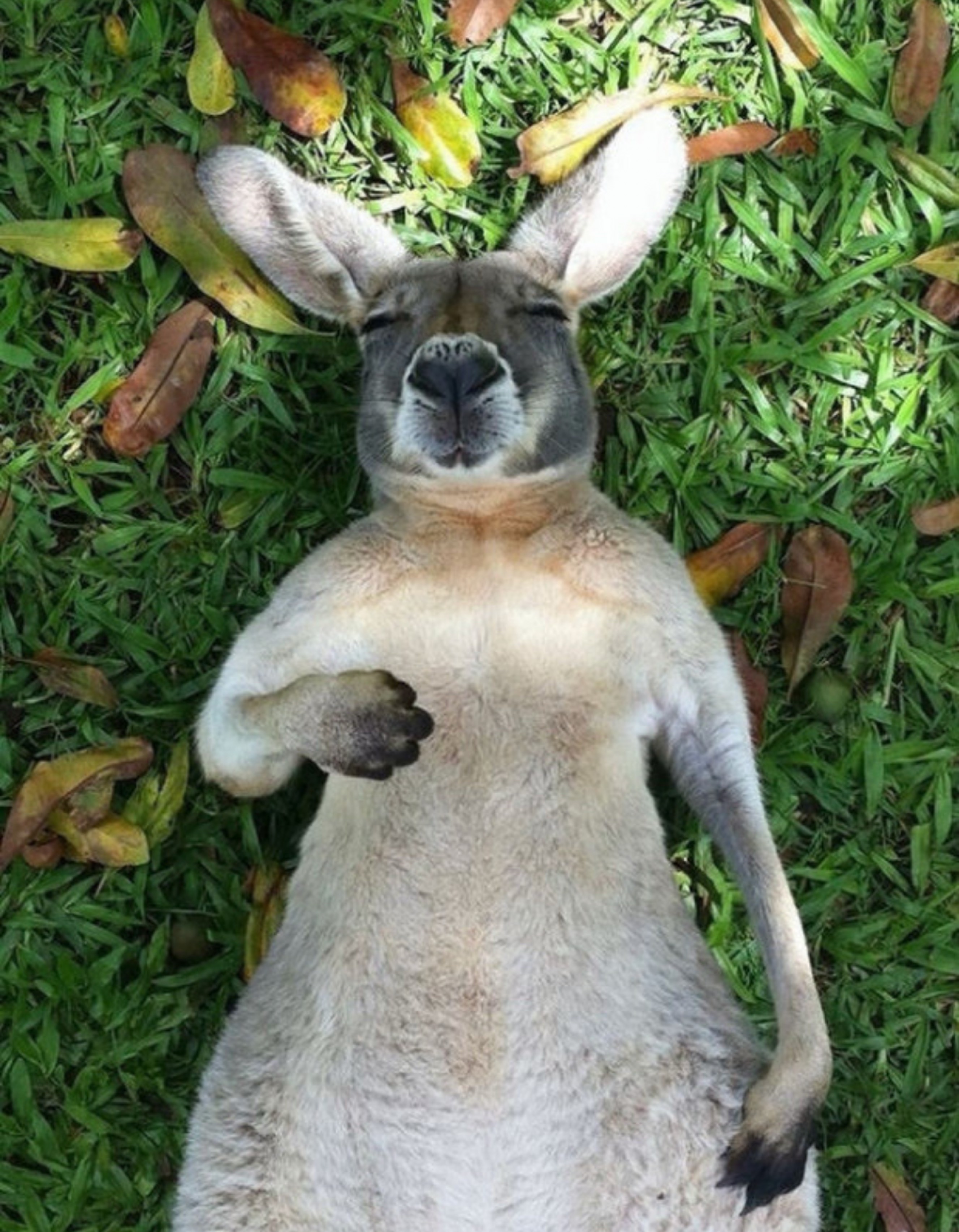 잔잔토크하실분~제대로된사람만여