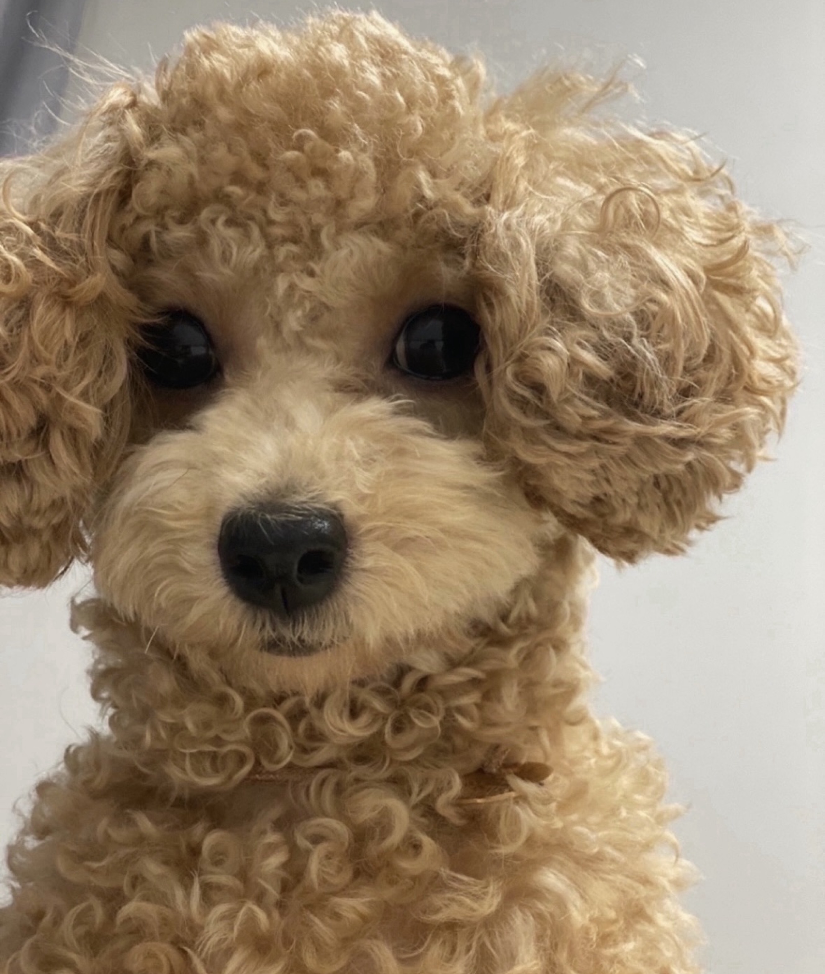 신입 팬200달성 초심잃지않을게요