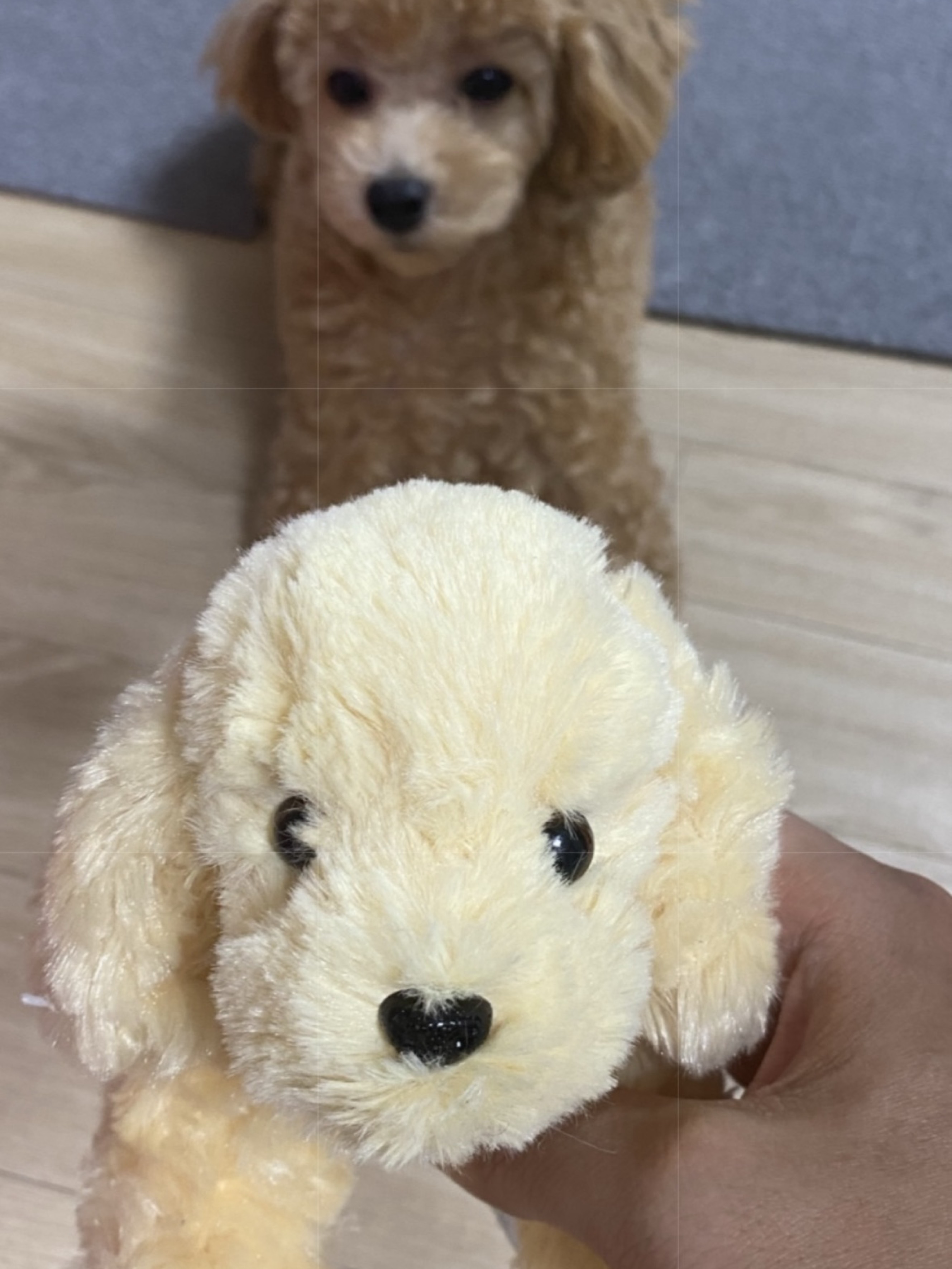 신입1일차 팬200명 감사해요