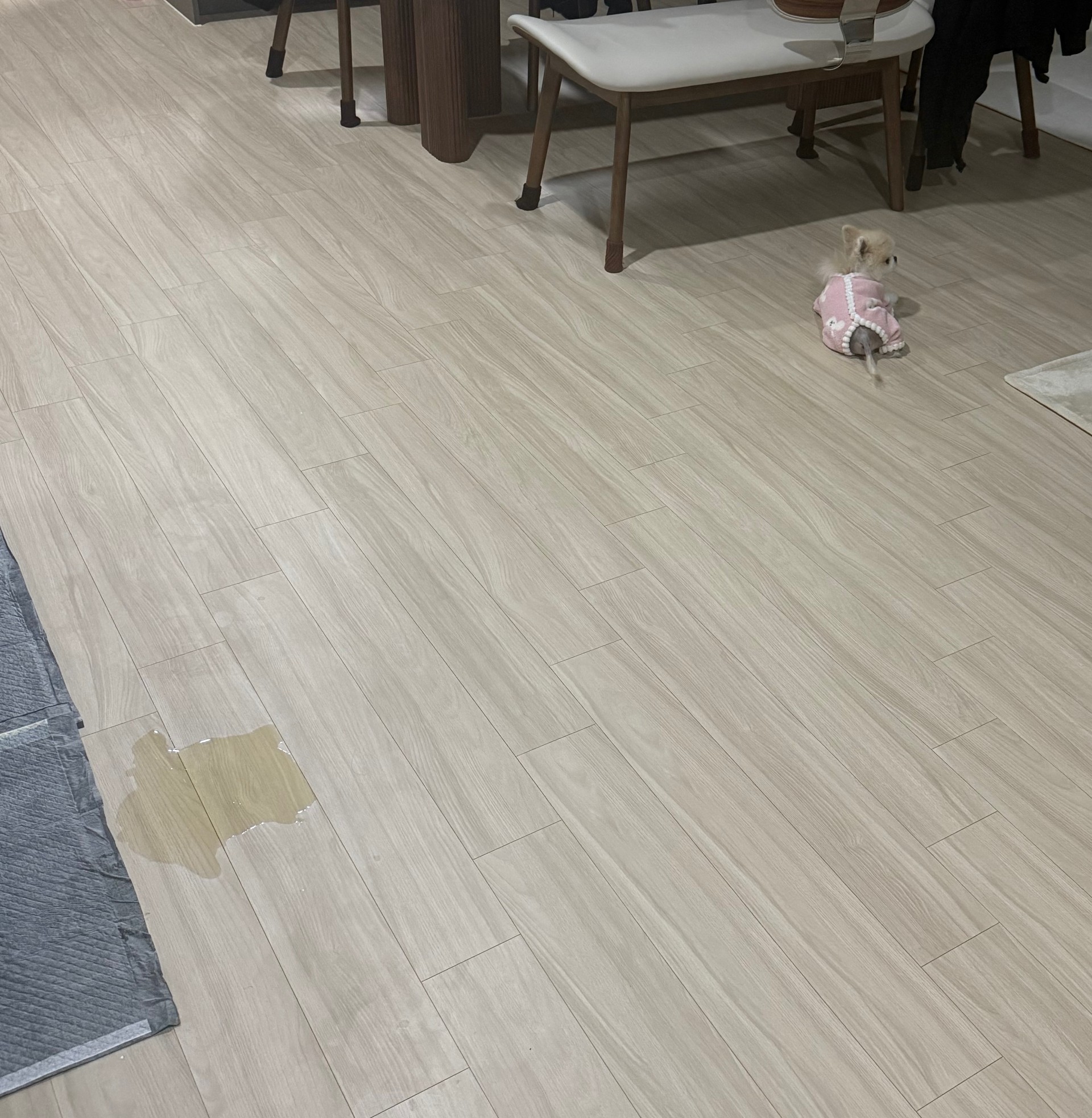 # 6시30분에만나요~! 담좌예수렉스