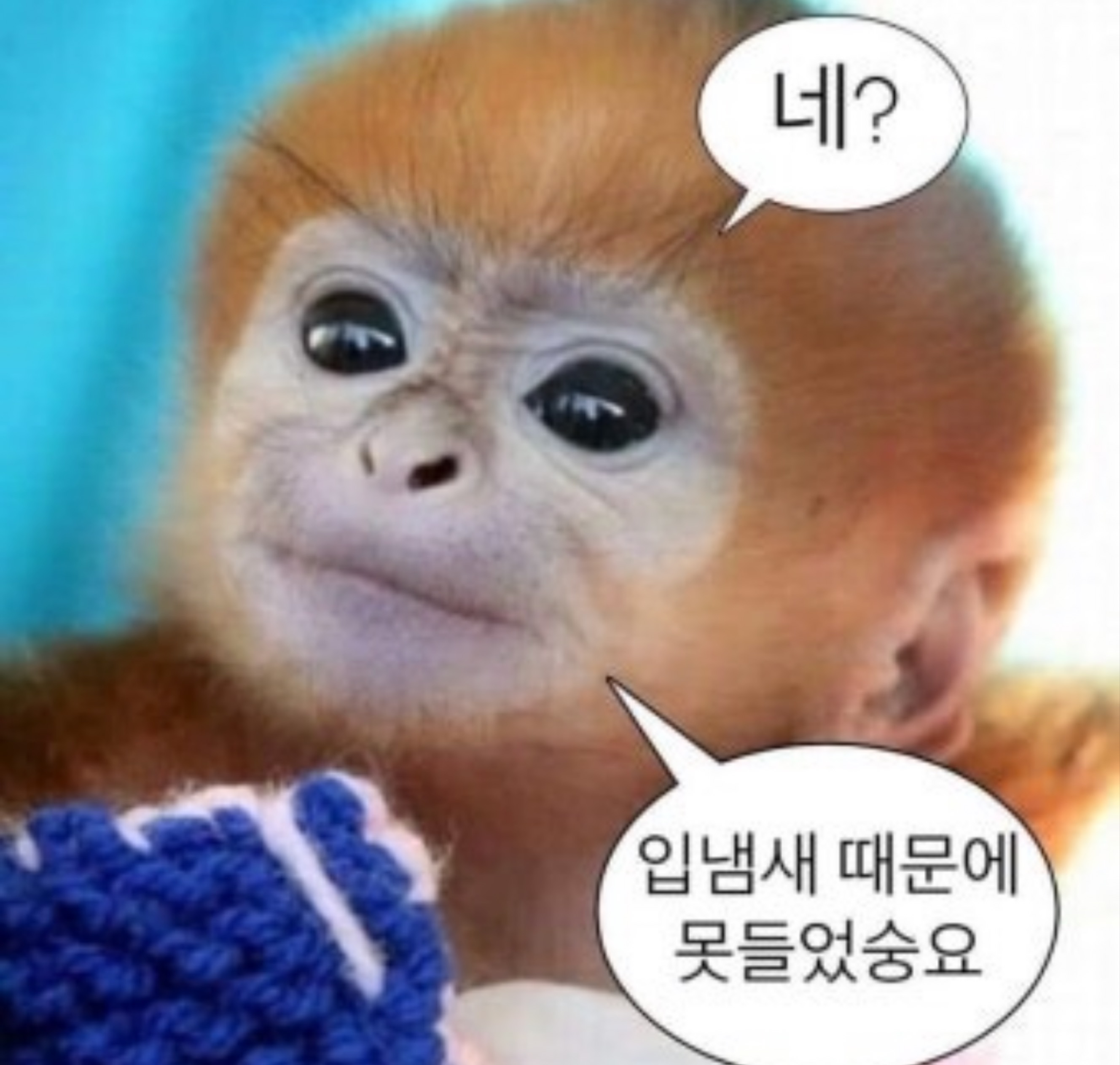잔잔토크, 디제이가 올려드려요😊