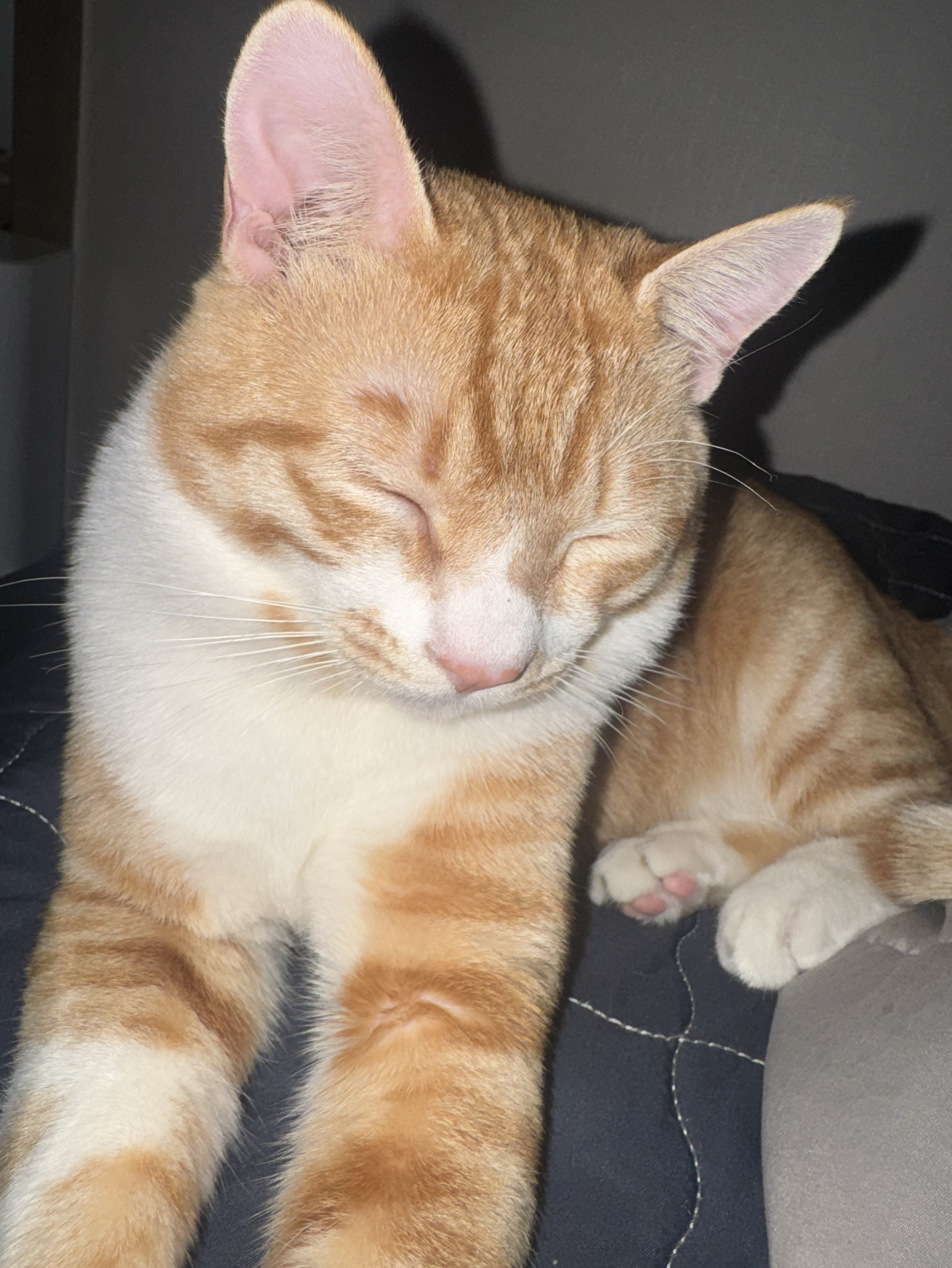 #51.  보고싶다 진짜