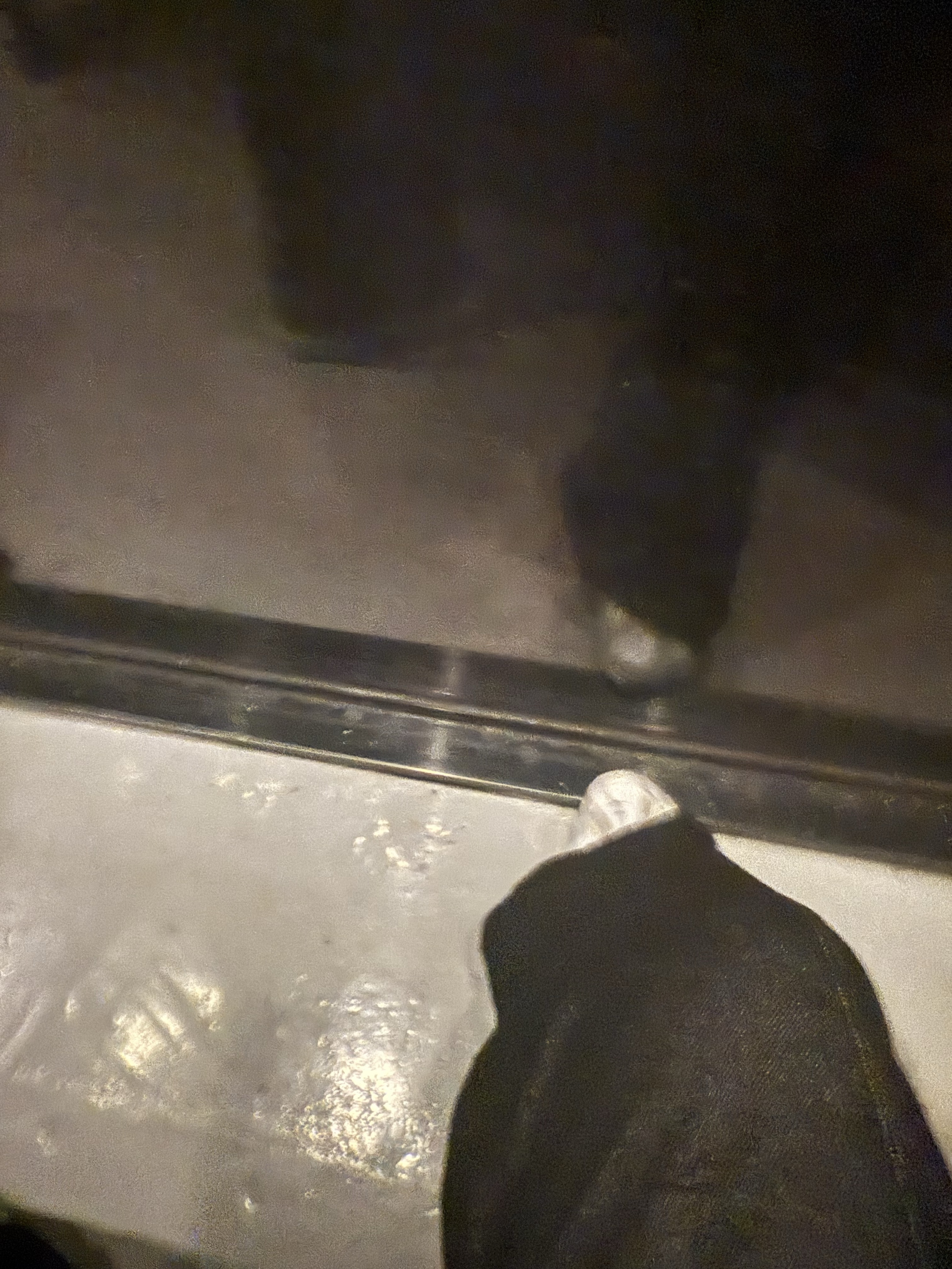 나.. 재워줄 사람..?