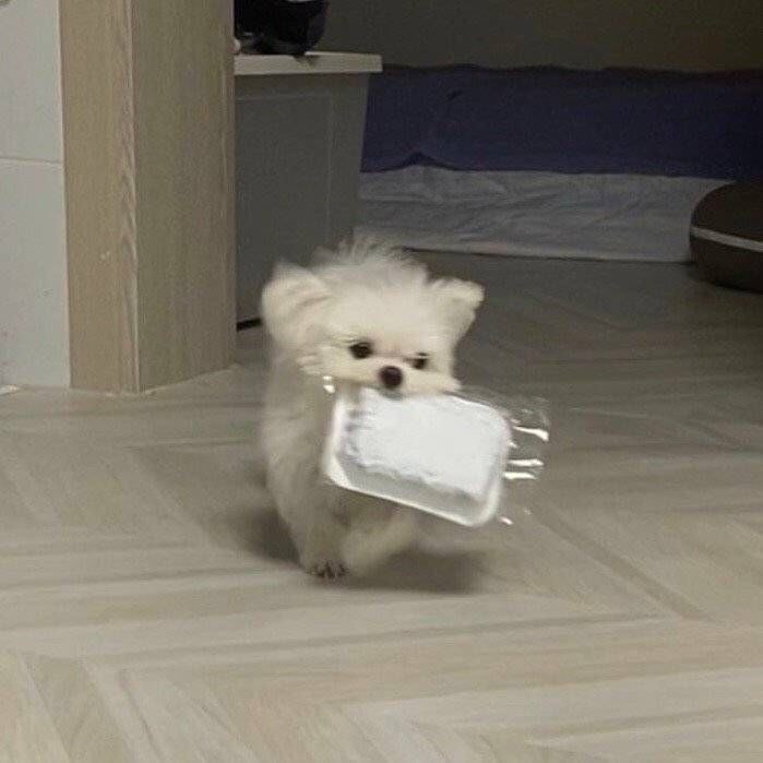 22일차) 나랑 치내질래? •̀ᴗ•̀