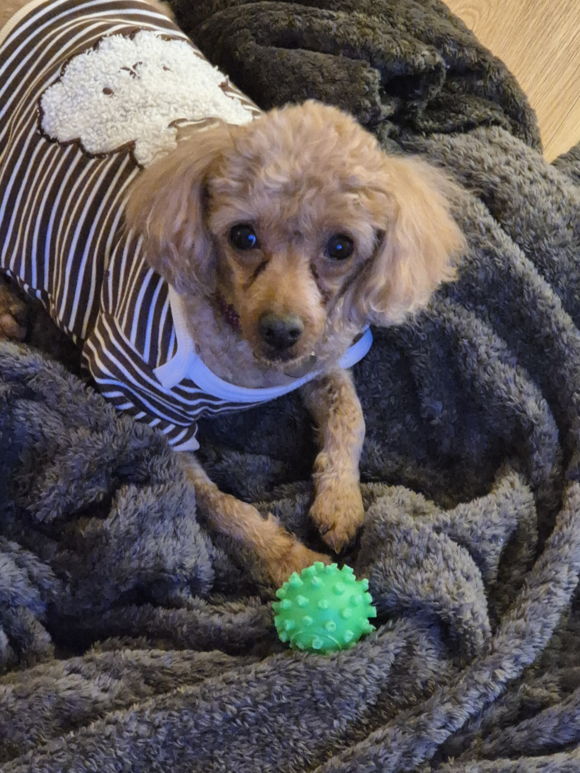 1월 수고해따 우리 2월에 보자!!