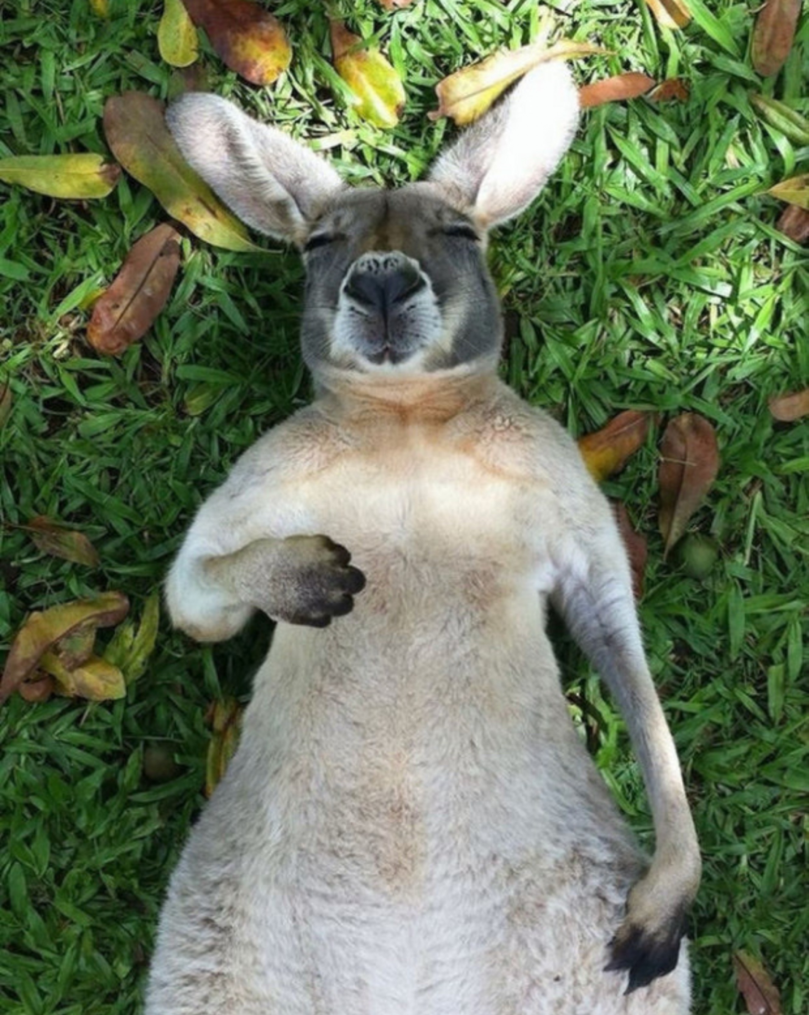 편안하게오세요🥰