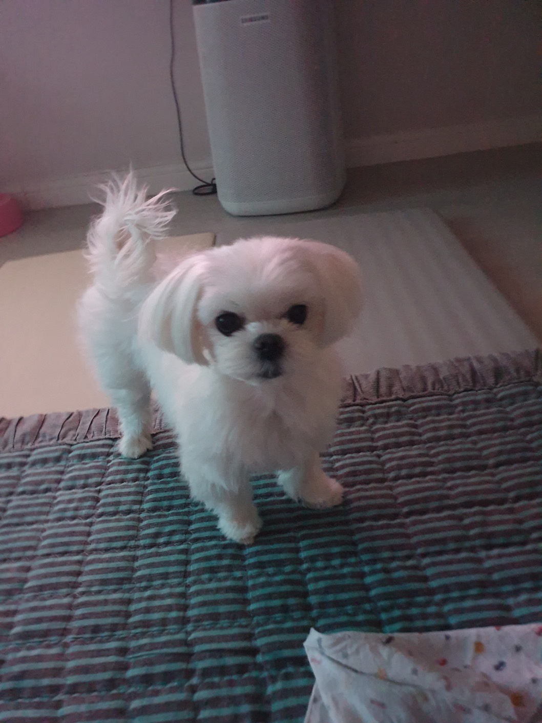 뭐하냐 안 오고