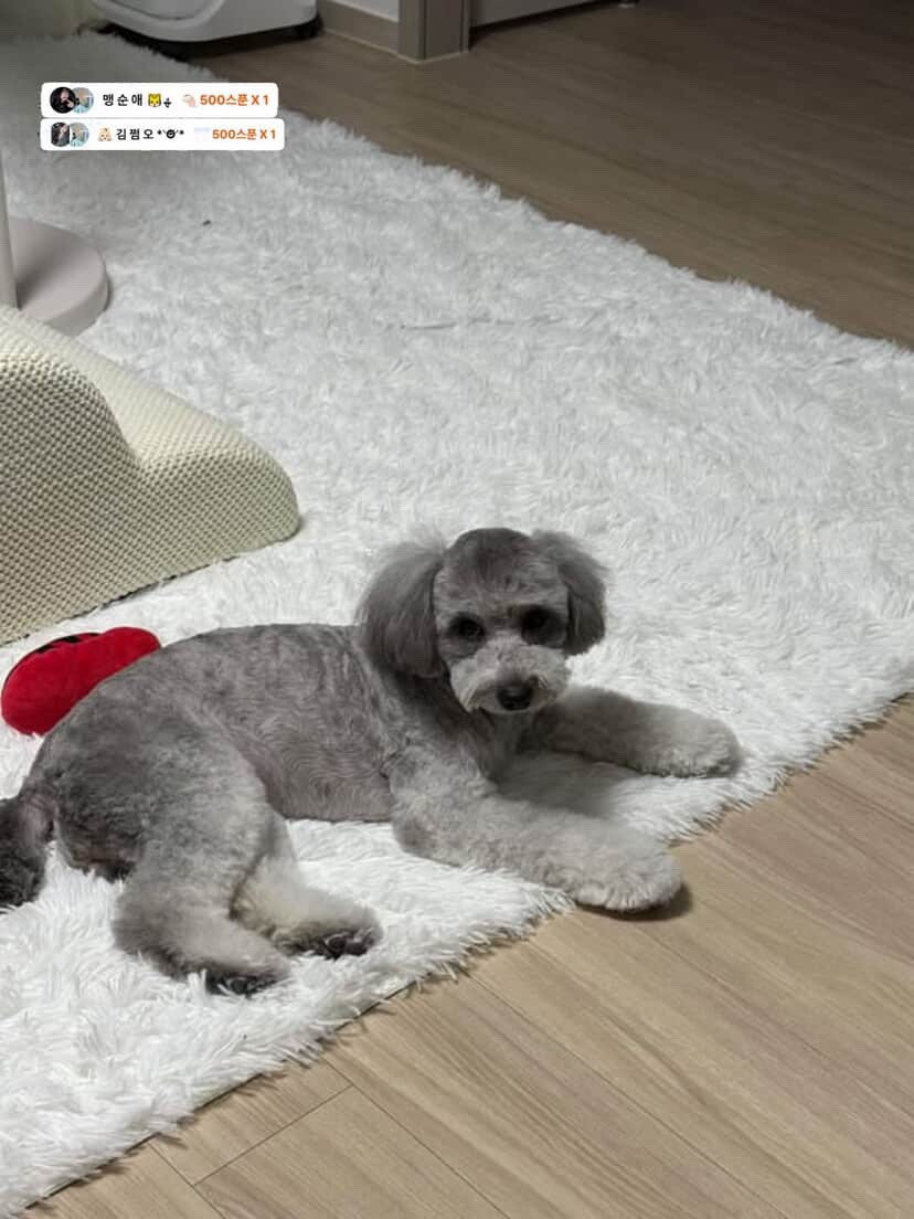 # 소개팅마감 감삼둥