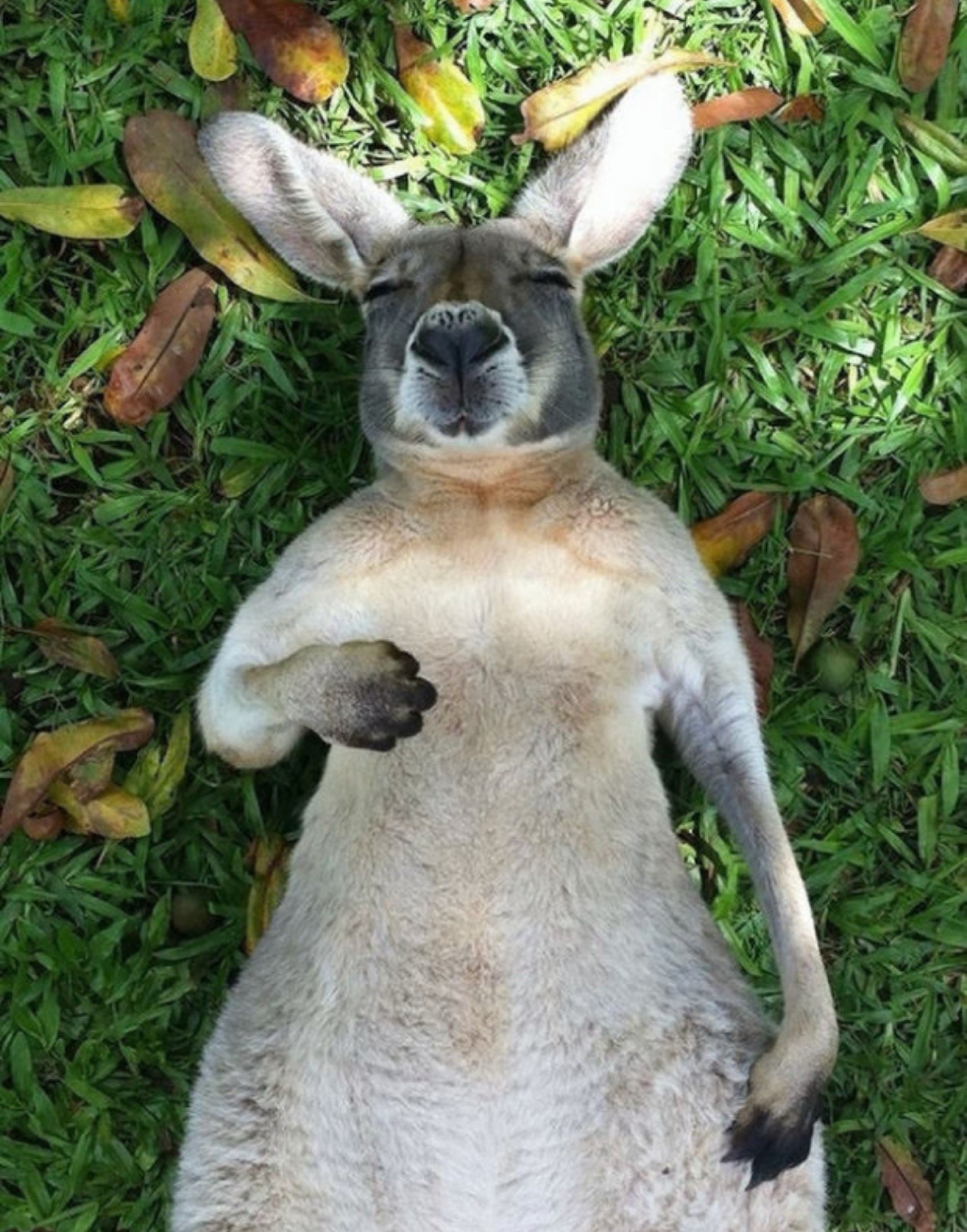 편하게오세요~~😊