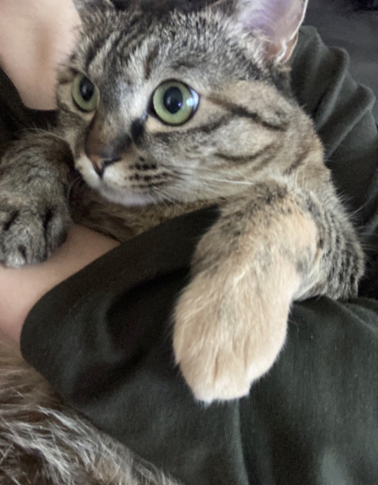 심심해영🐈‍⬛