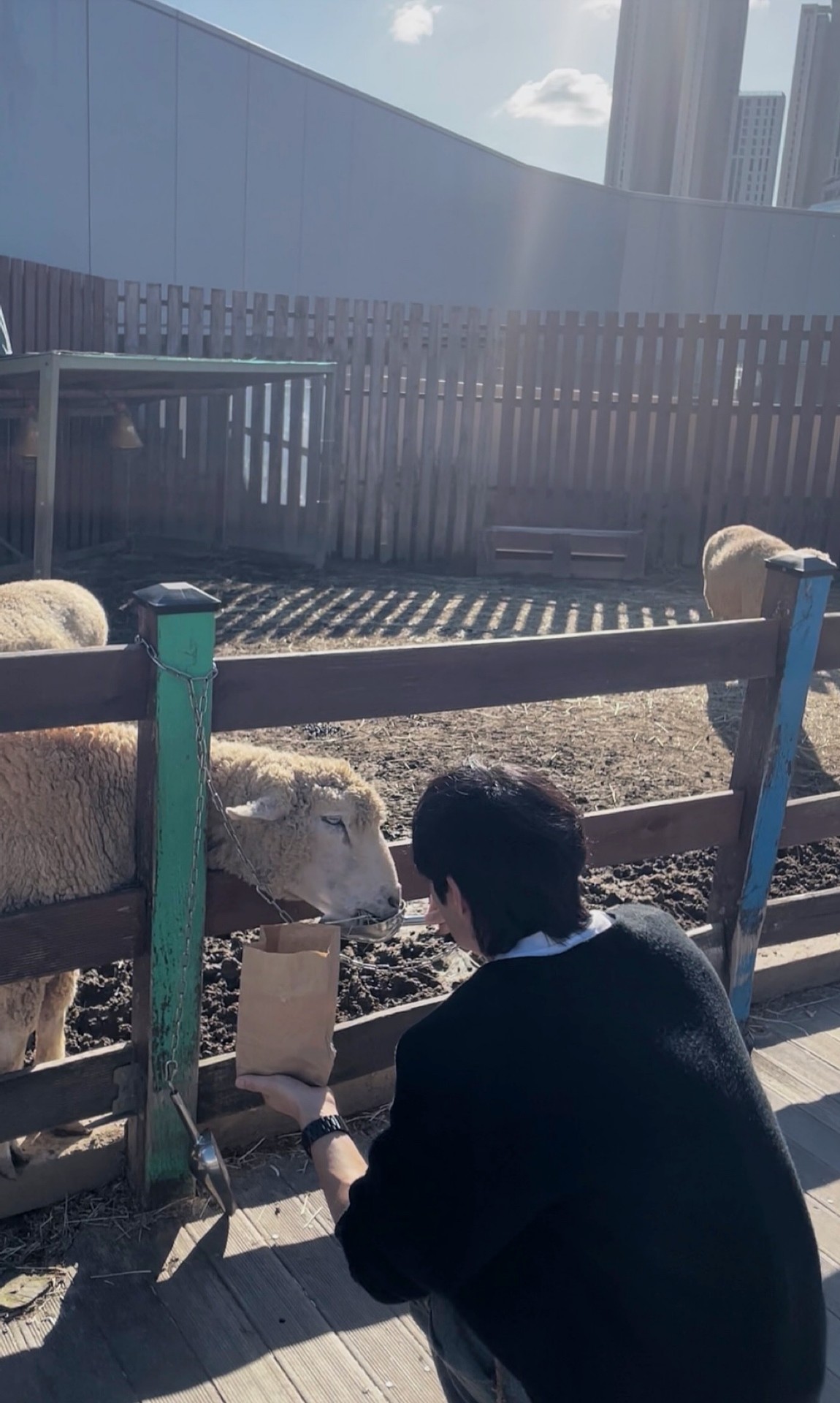 #고뱅아 사랑한다♥ 담좌는 맹호,지노