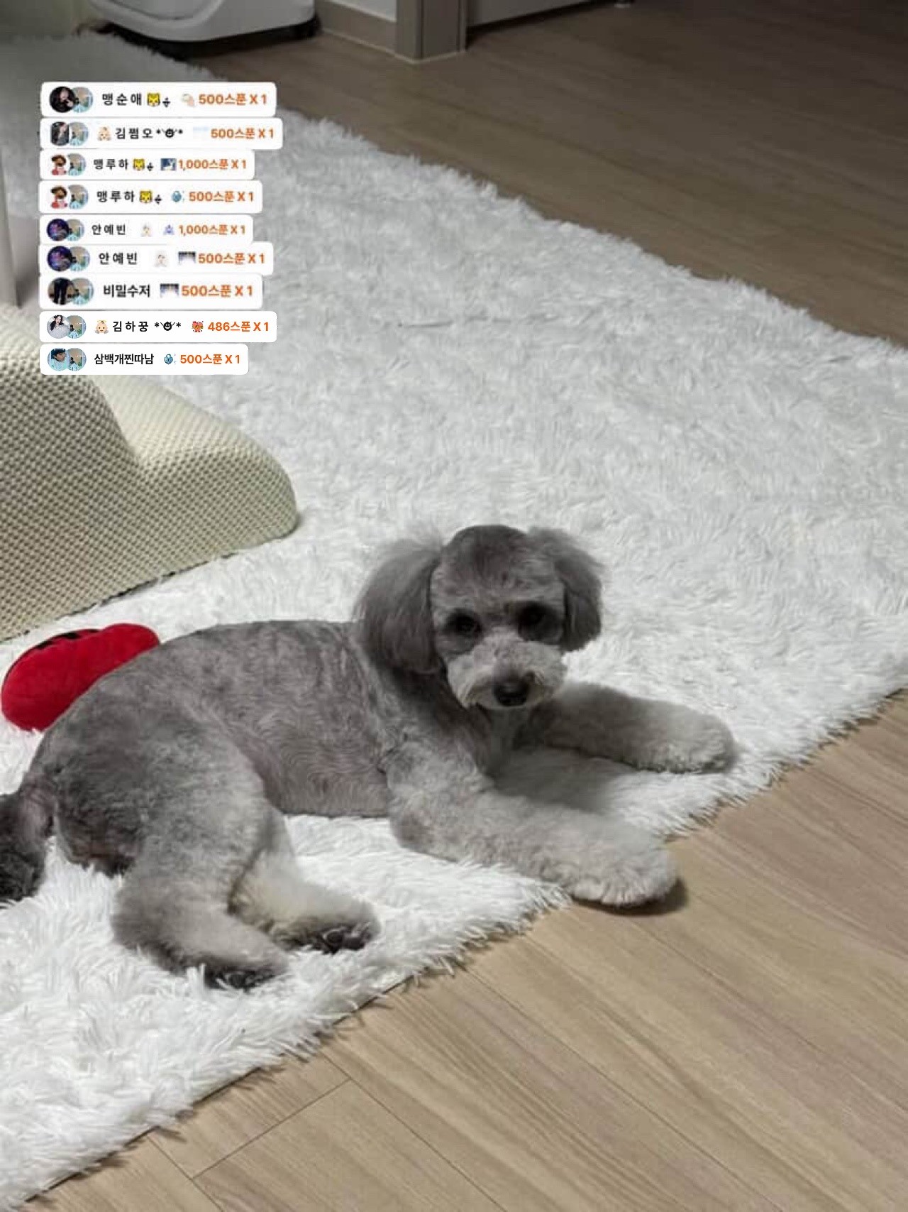 # 소개팅마감 감삼둥