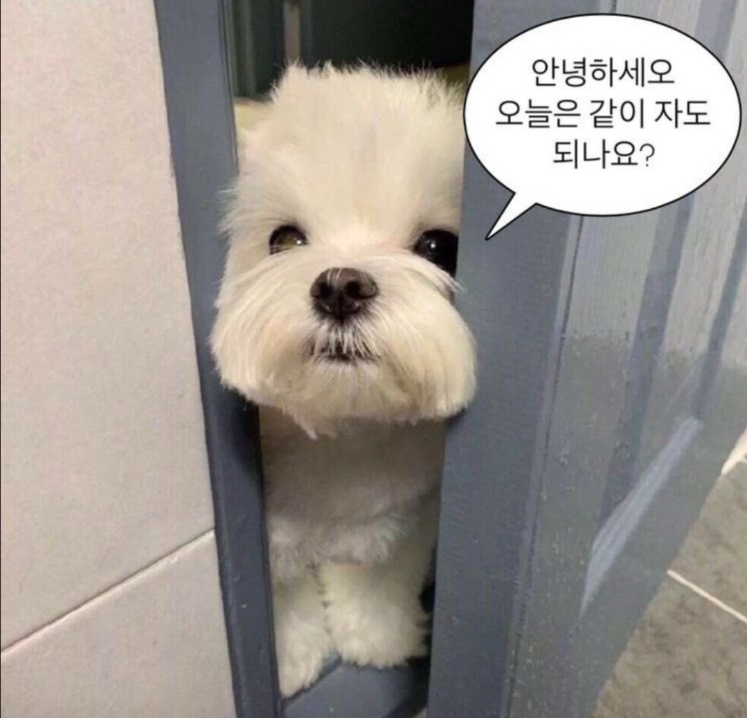 마감❤ 감사합니다