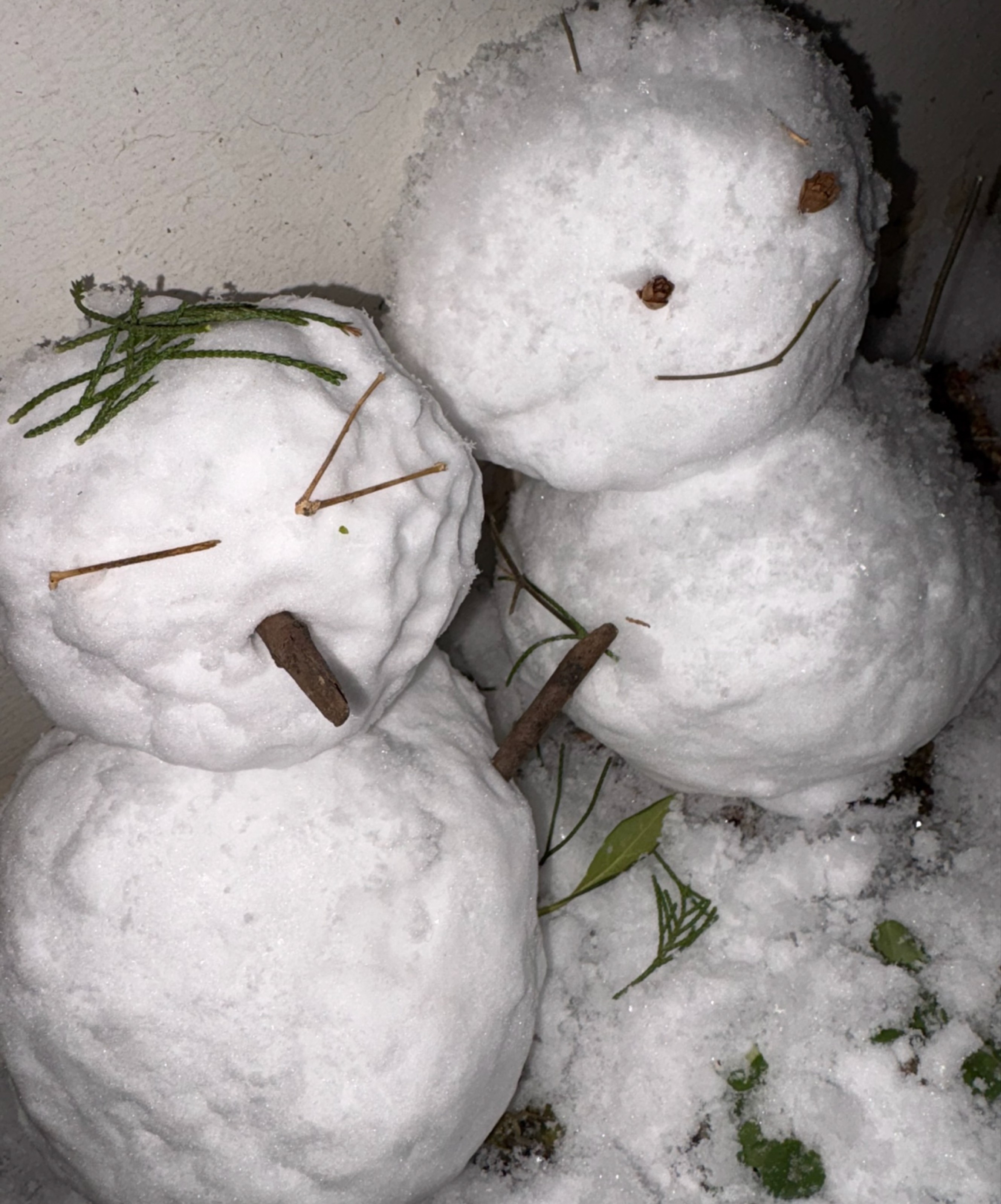 나보러 들어올거지