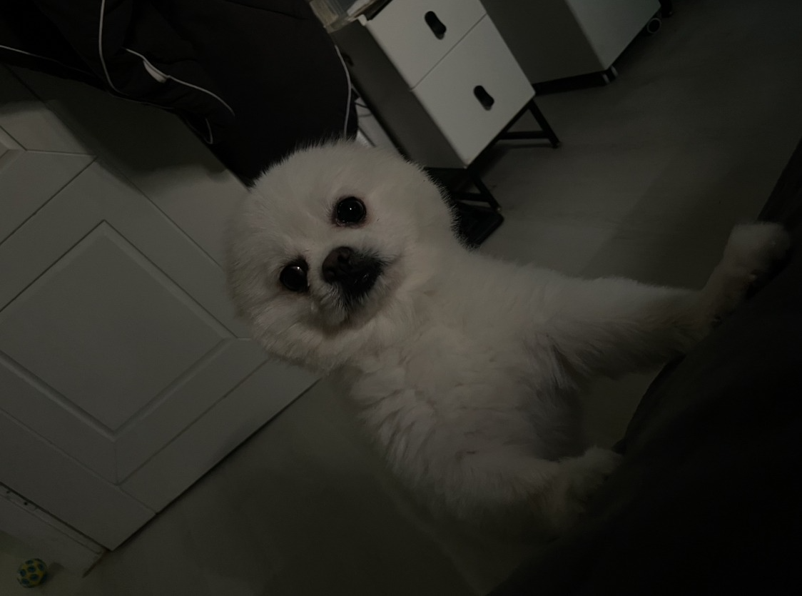 깃발이 너무 아파요