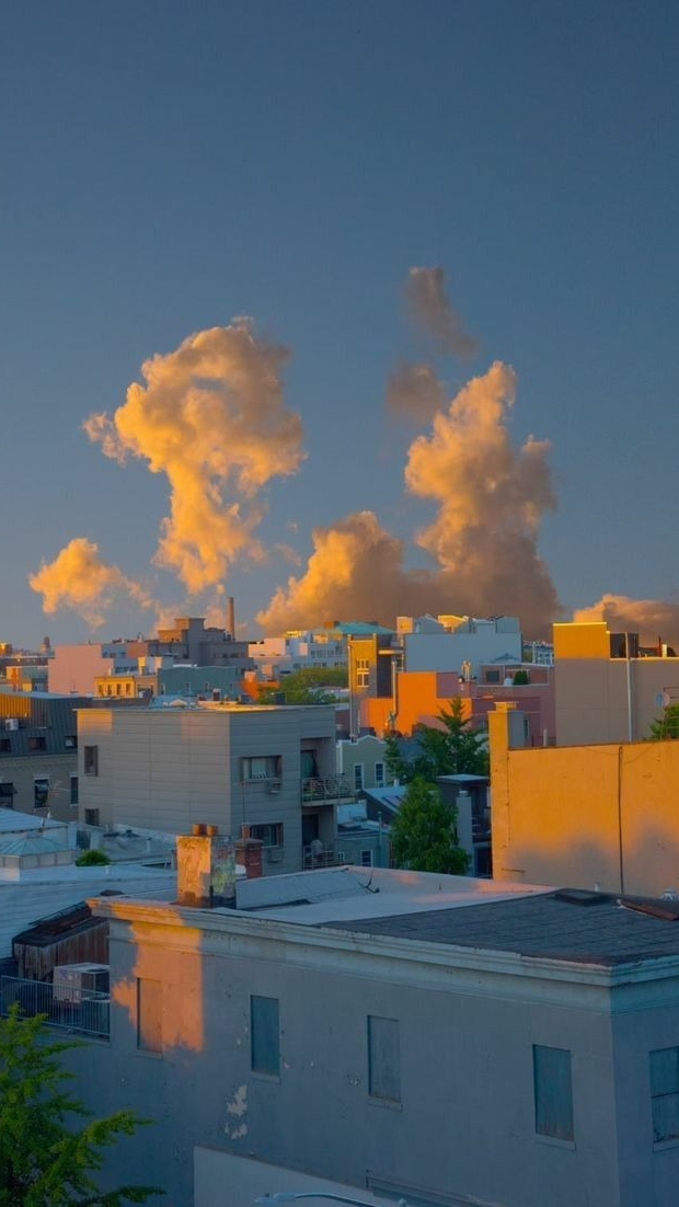 각자 할일하는 방송