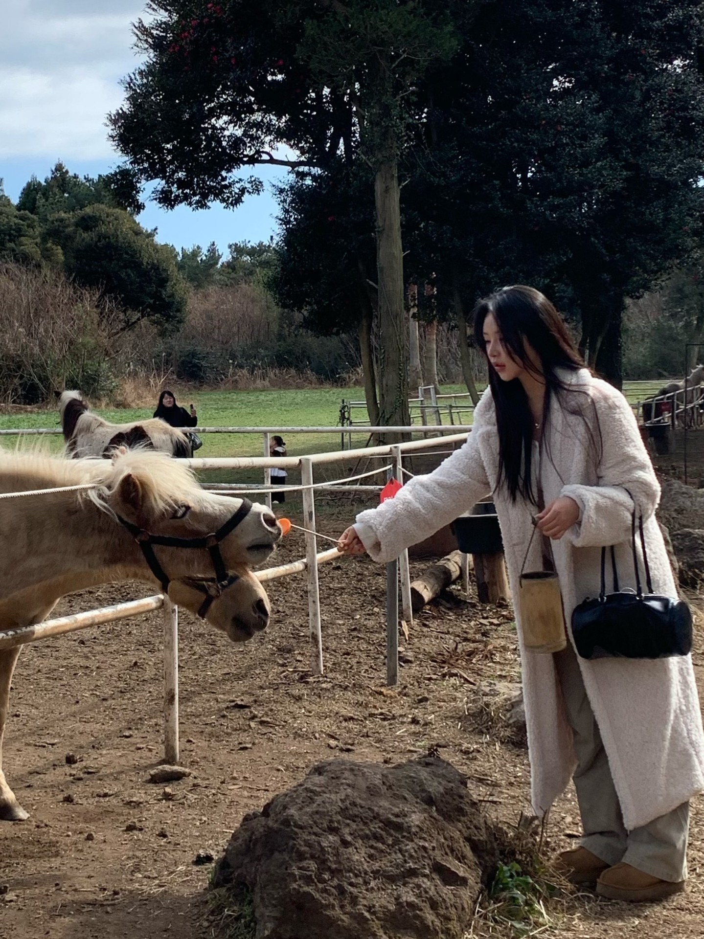 입춘, 봄도 오고 마리도 오고