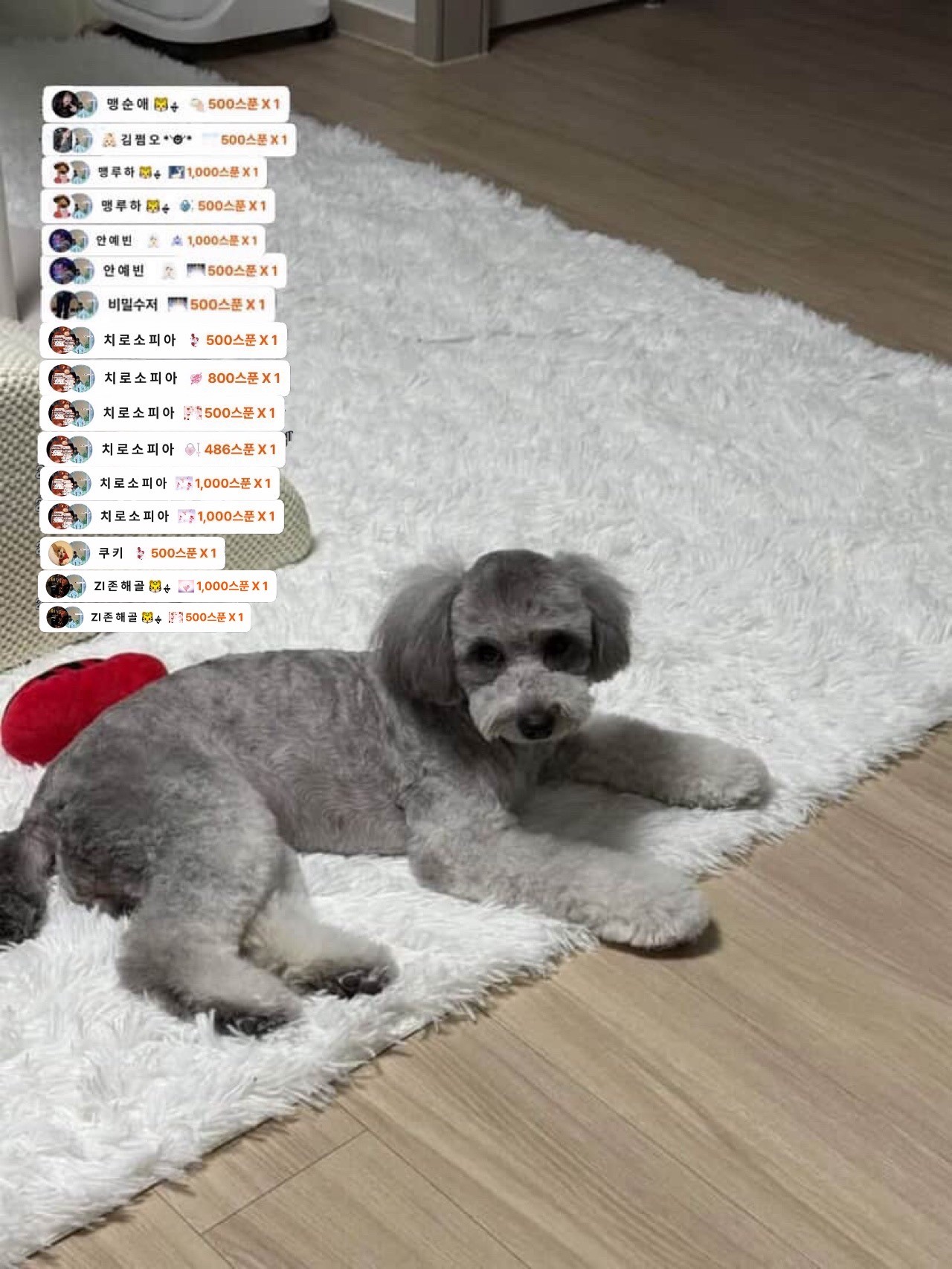 # 소개팅마감 감삼둥