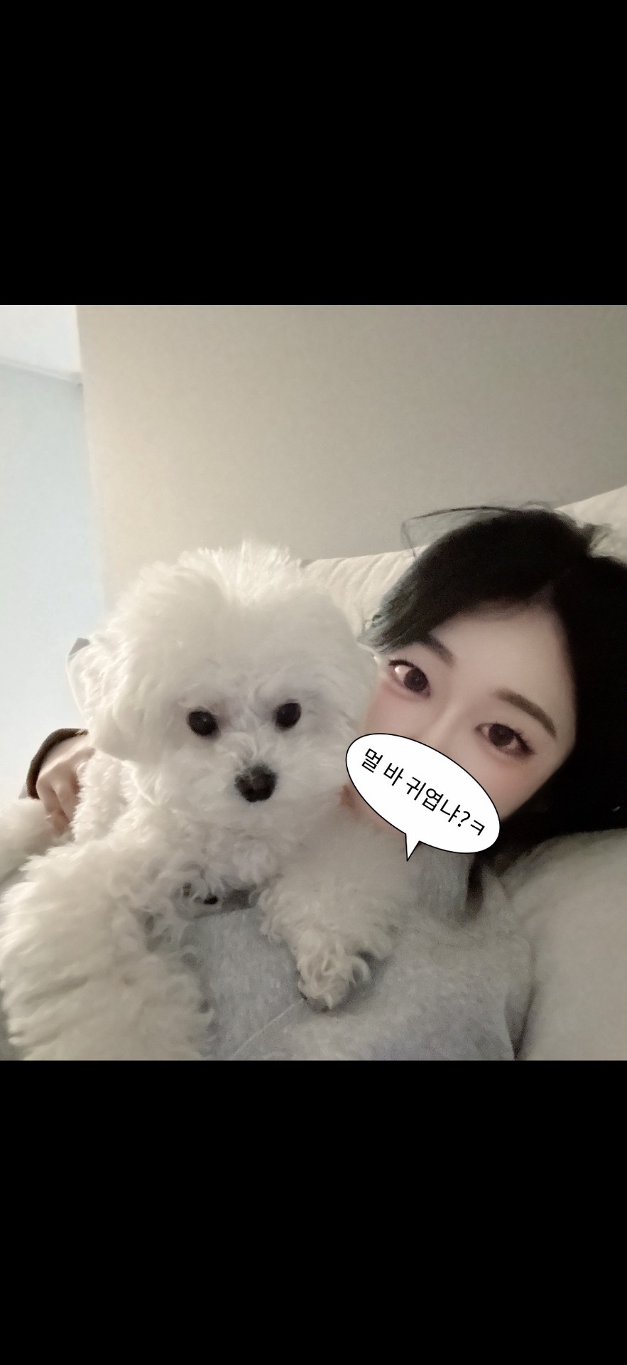 으악 대지각 죄송합니다 ㅠㅠㅠㅠ