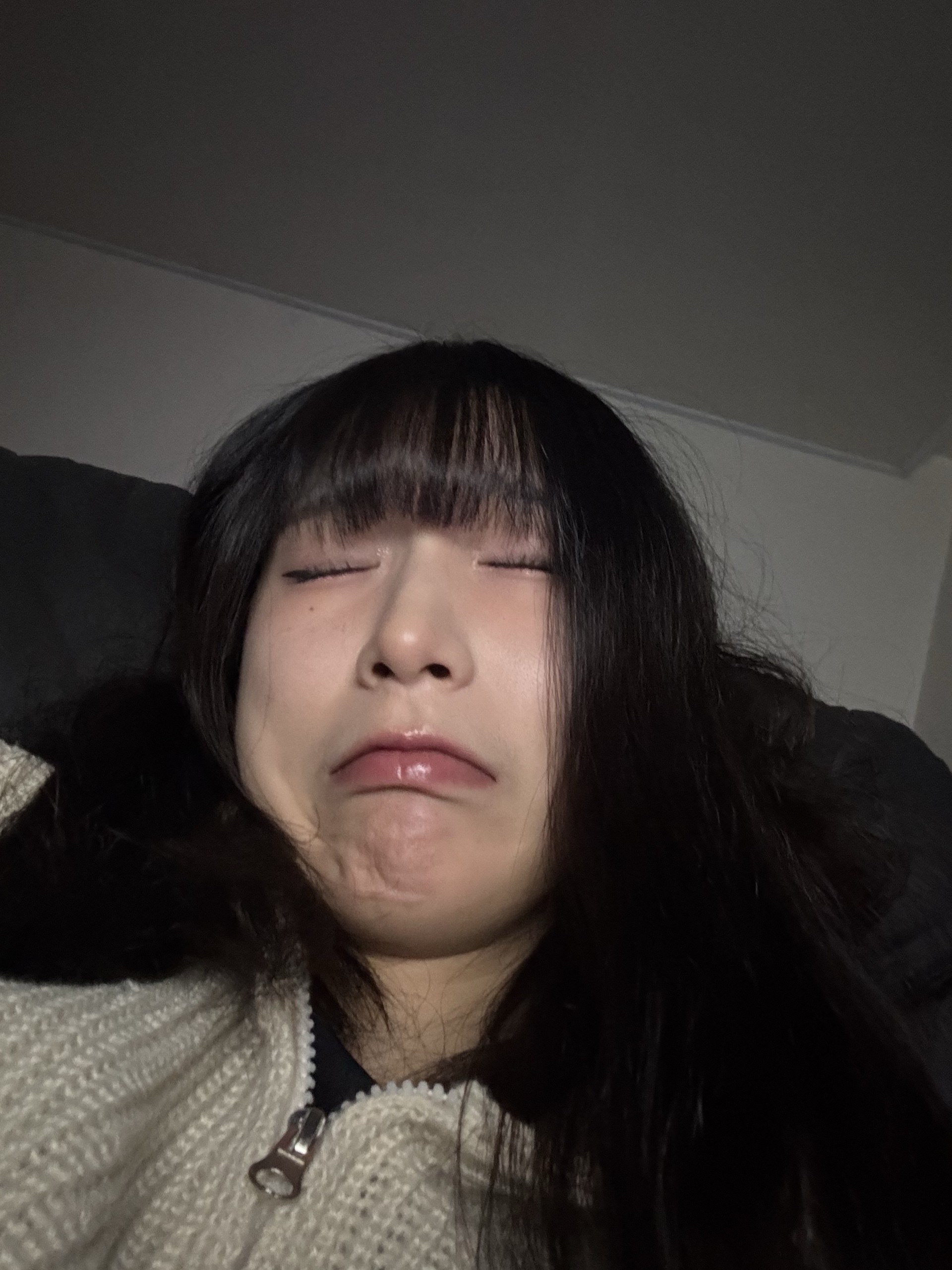 담좌 이코인 ㄱㄱ