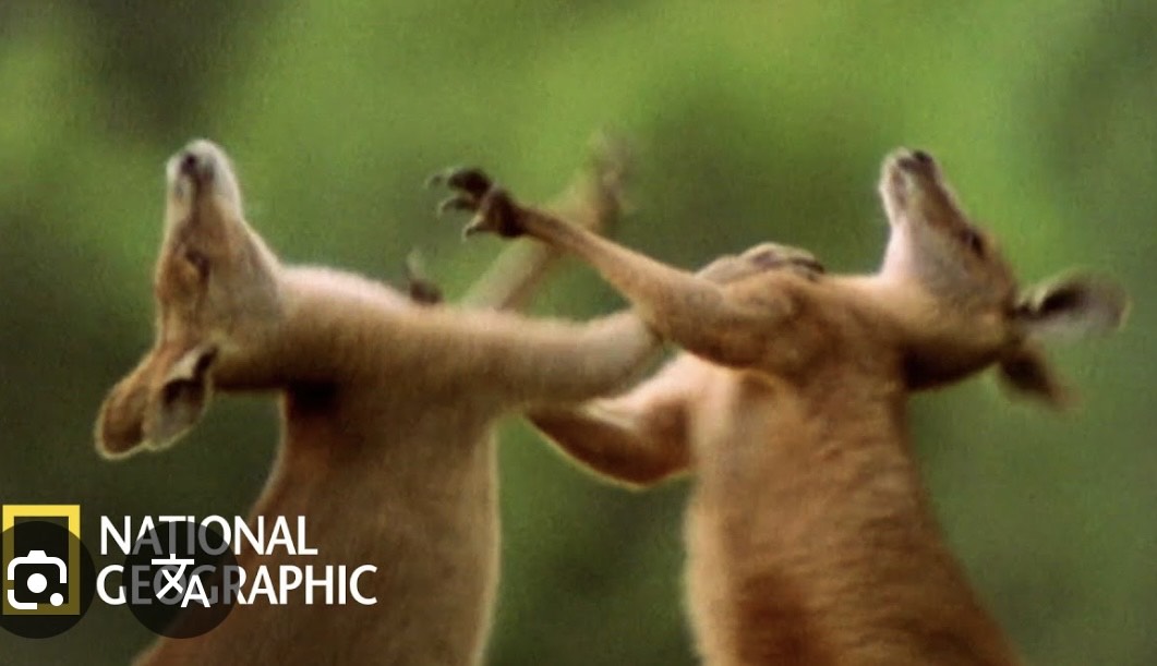 안녕 나보고싶지?