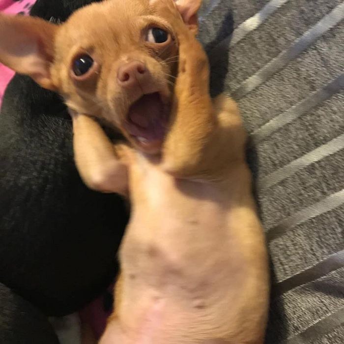 편하게와여ㅎㅎ