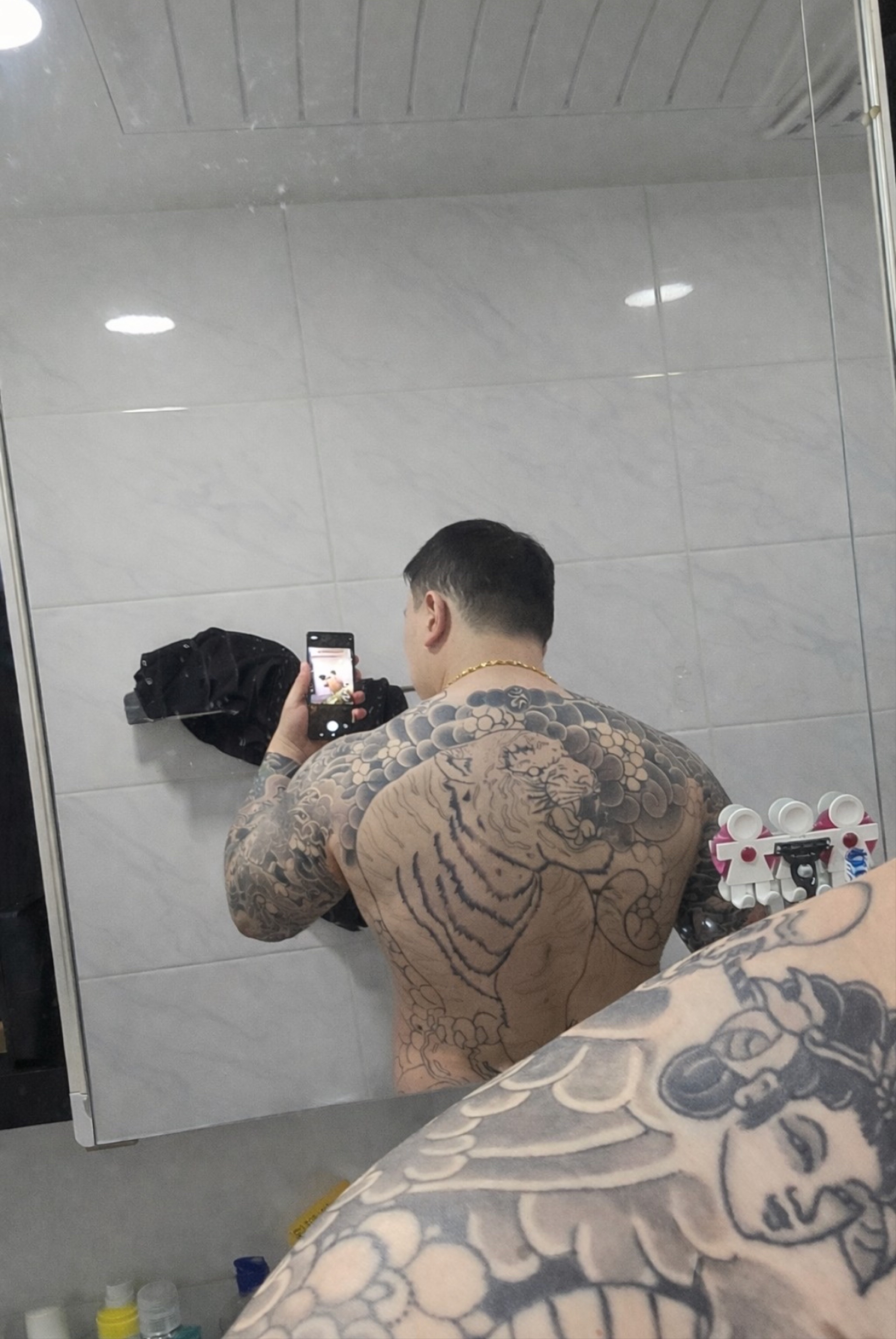 제 등 평가좀요