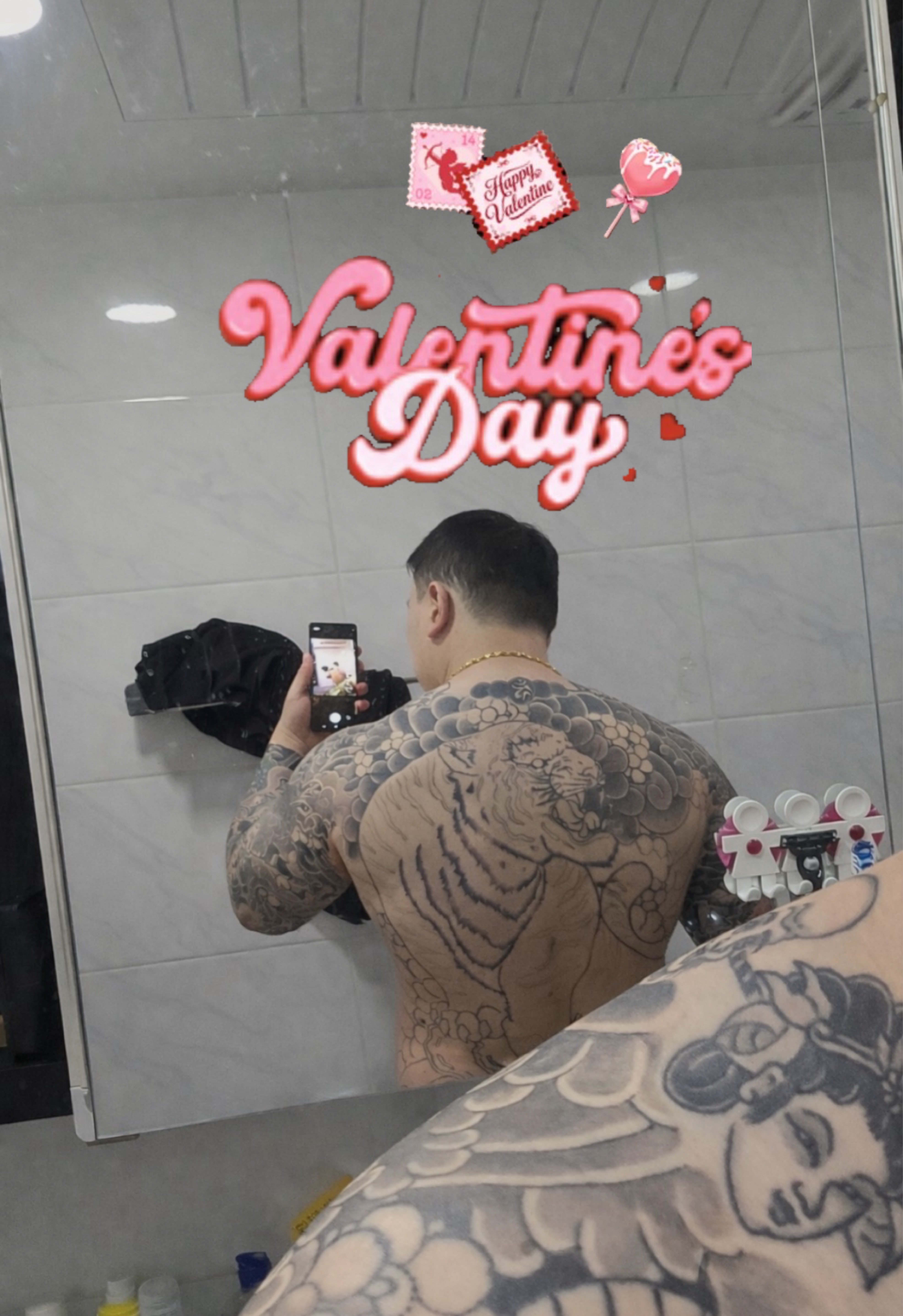 제 등 평가좀요