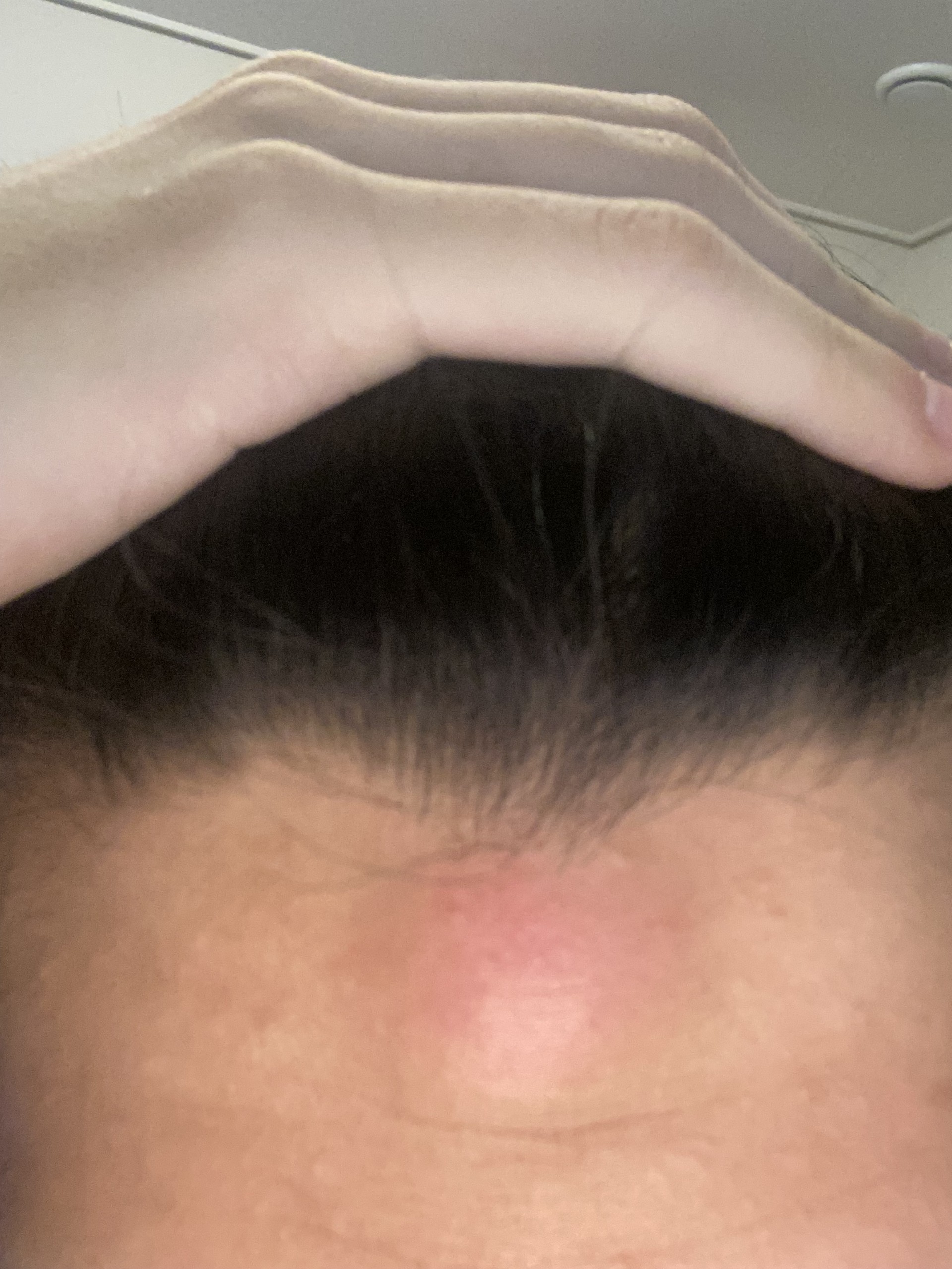 마감 감사합니다 담좌 루피 오프