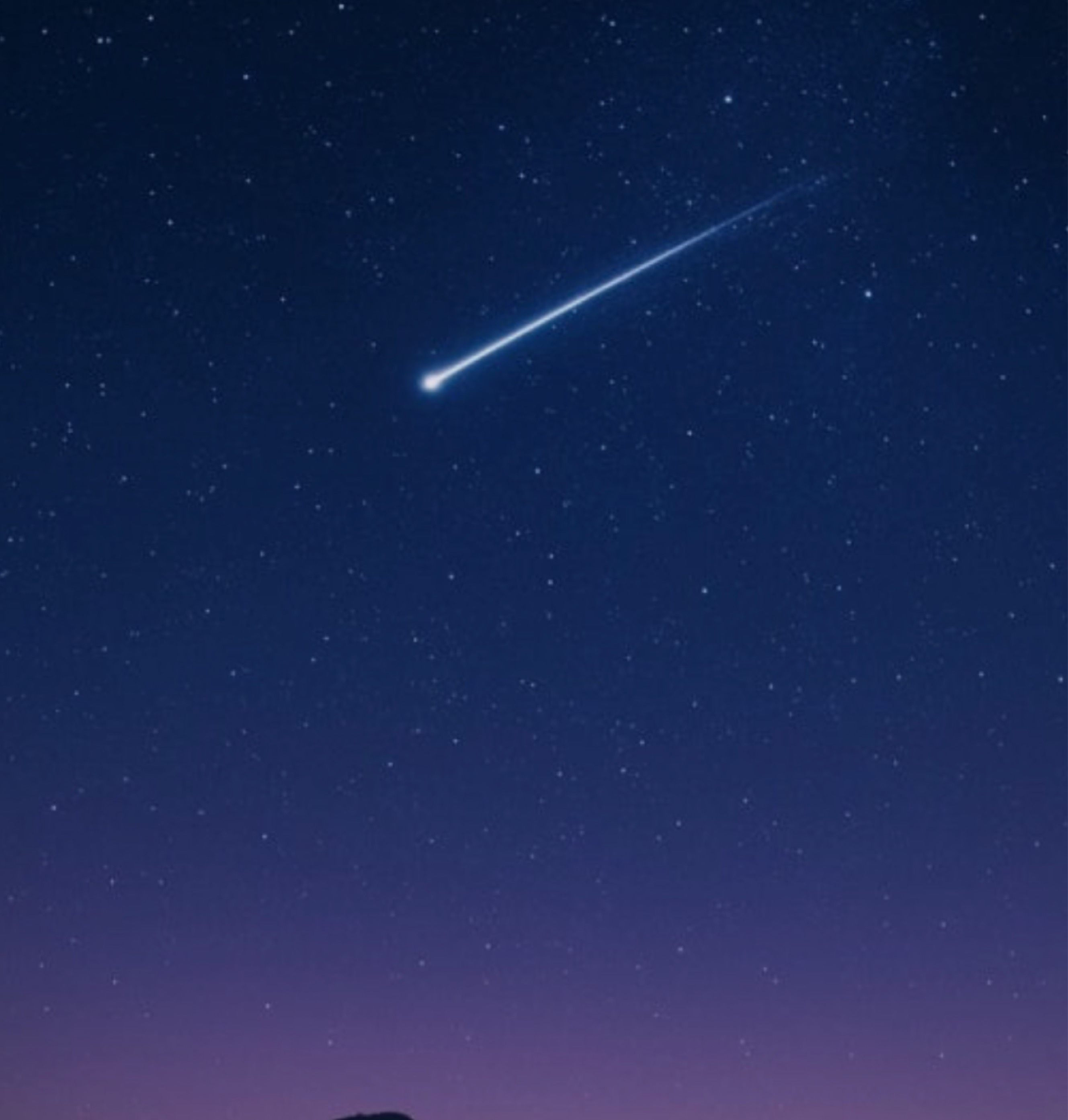 신입1일차 편하게들어와여ㅎㅎ