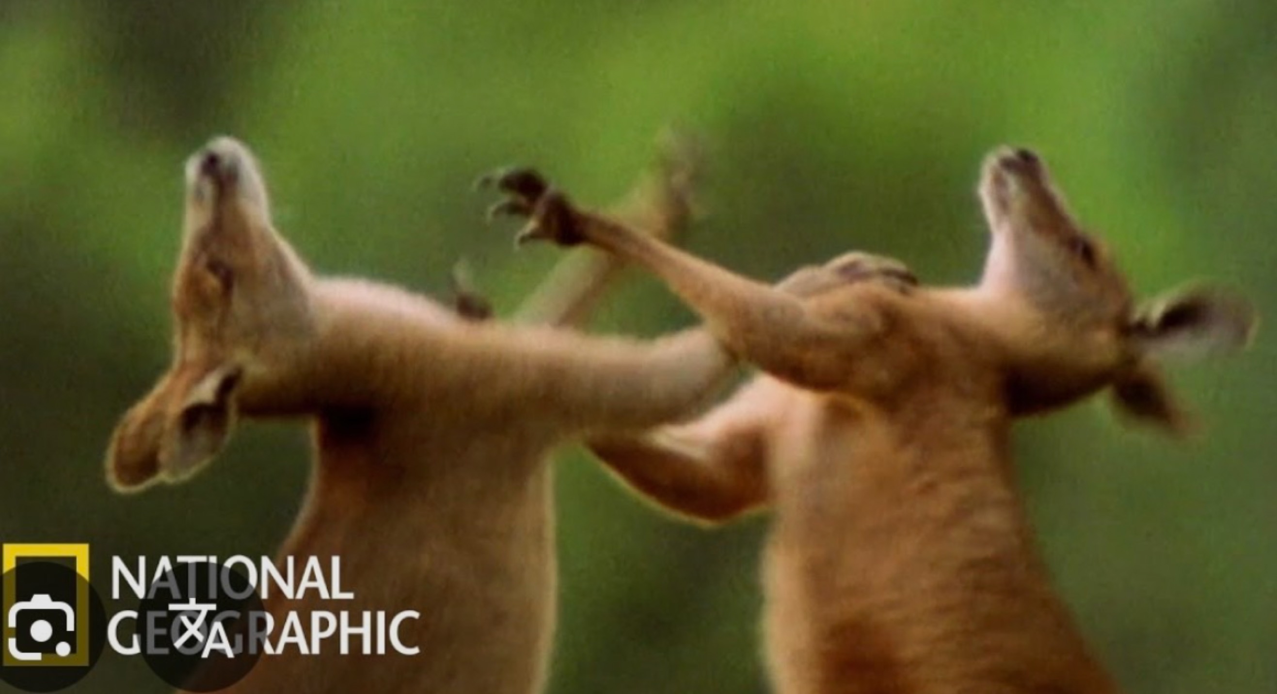 편하게들어와여ㅎㅎ?!