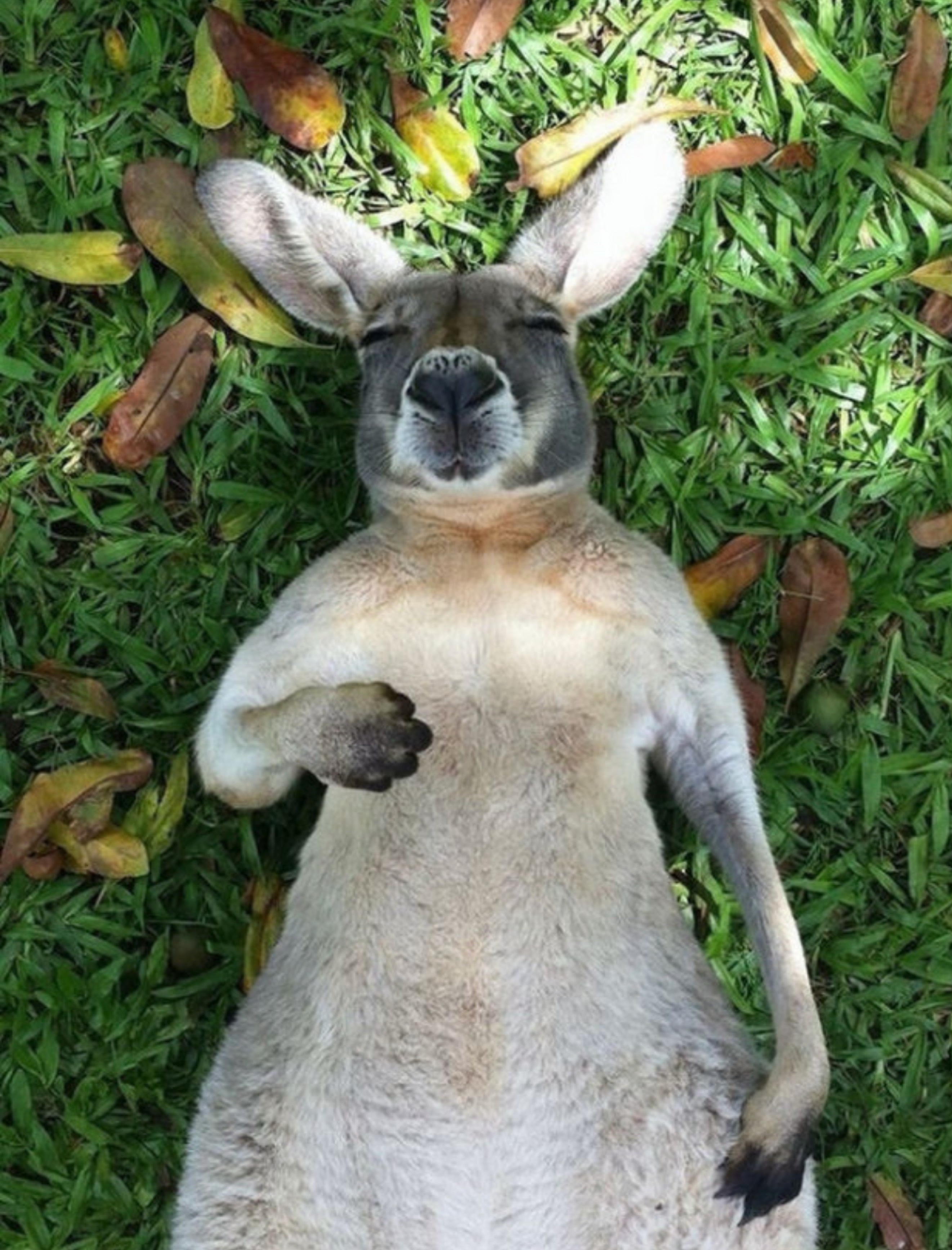 편하게 들어와요❤️