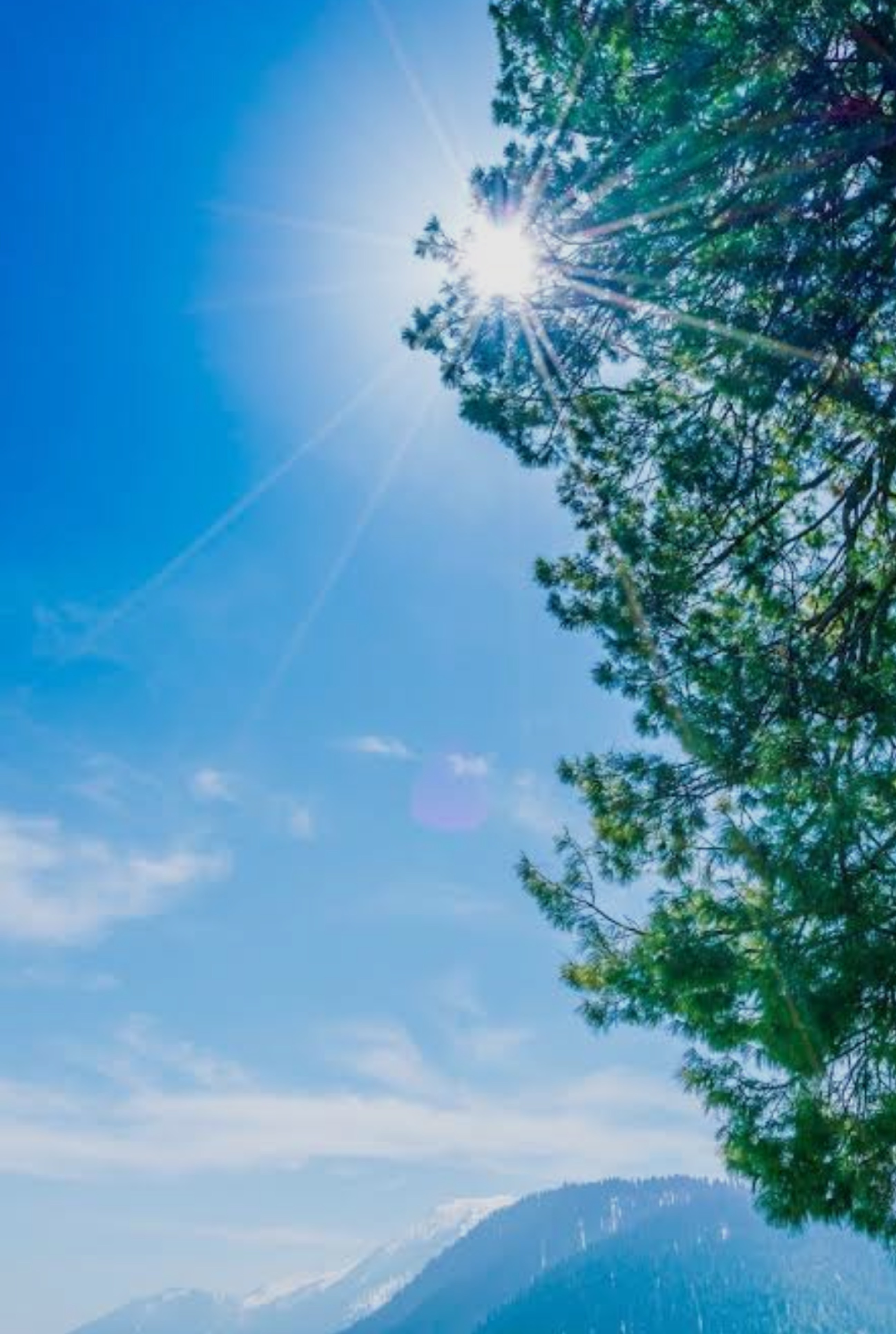 편하게들어와여ㅎㅎ