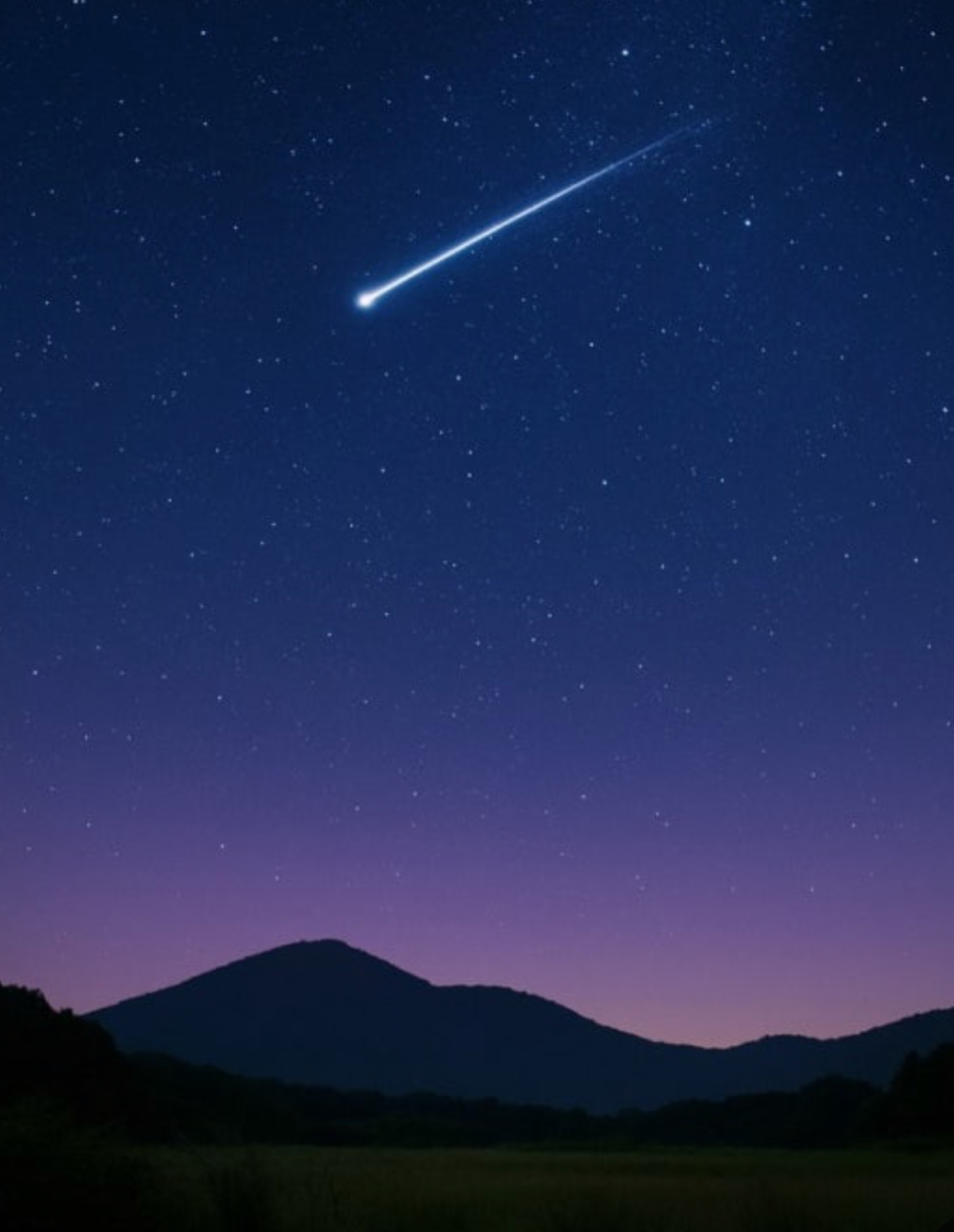 신입1일차 편하게와요