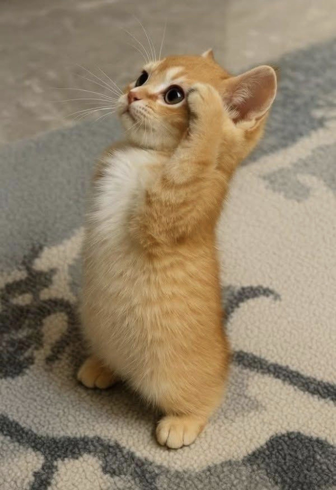 남은 시간은 밥 야미 방송