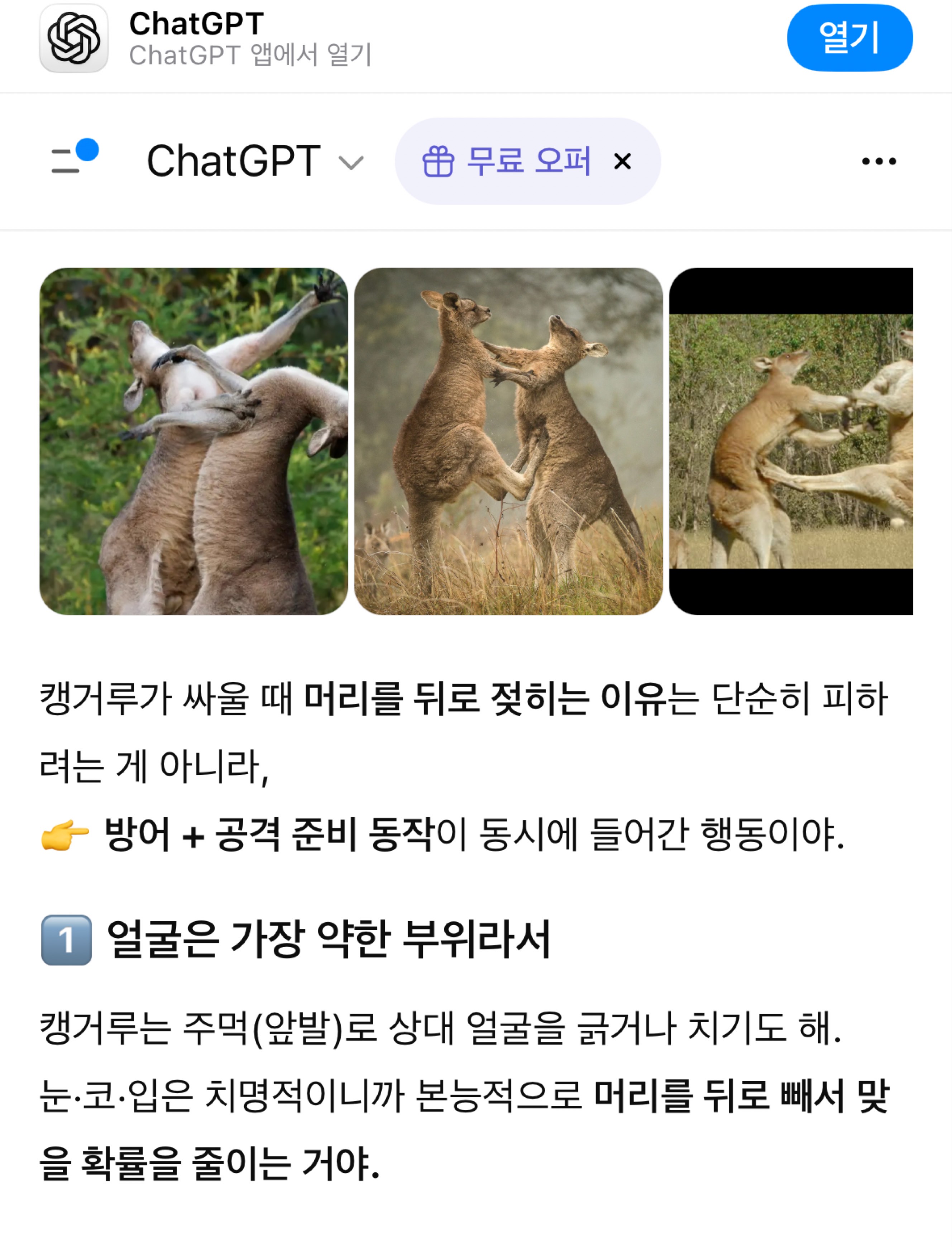 편하게들어와요😊